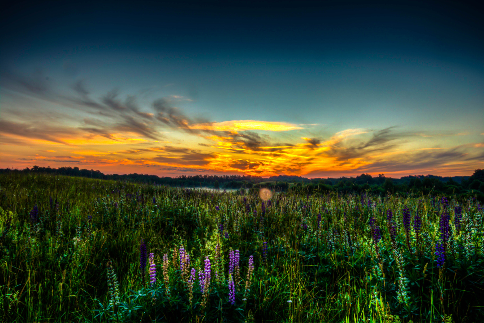 Canon EF-S 10-22mm F3.5-4.5 USM sample photo. Meadow during sunrise photography