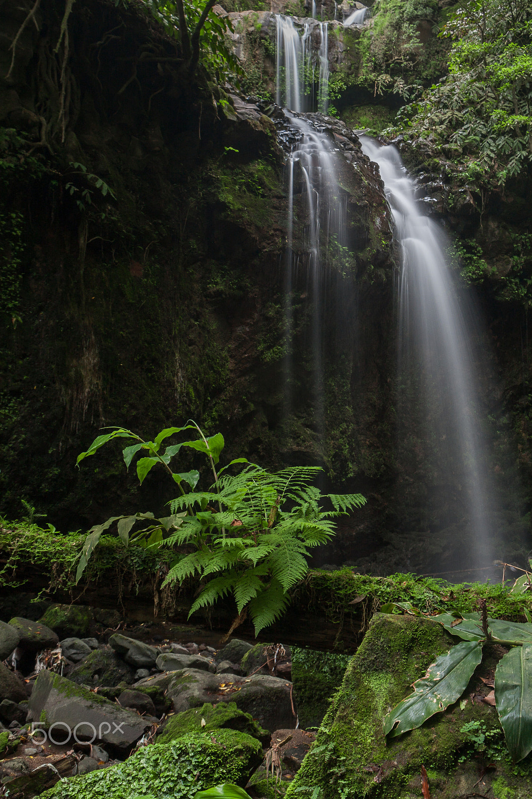 Sigma 18-50mm F2.8-4.5 DC OS HSM sample photo. My magical place photography
