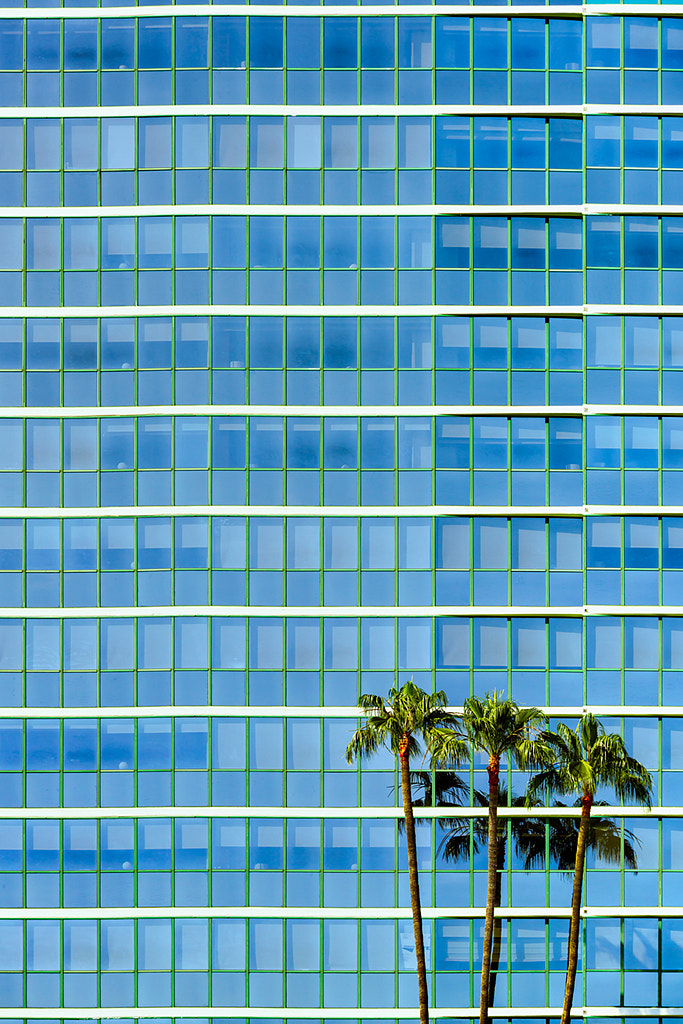 Sony a7R II + Canon EF 70-200mm F4L IS USM sample photo. Palms & architecture photography