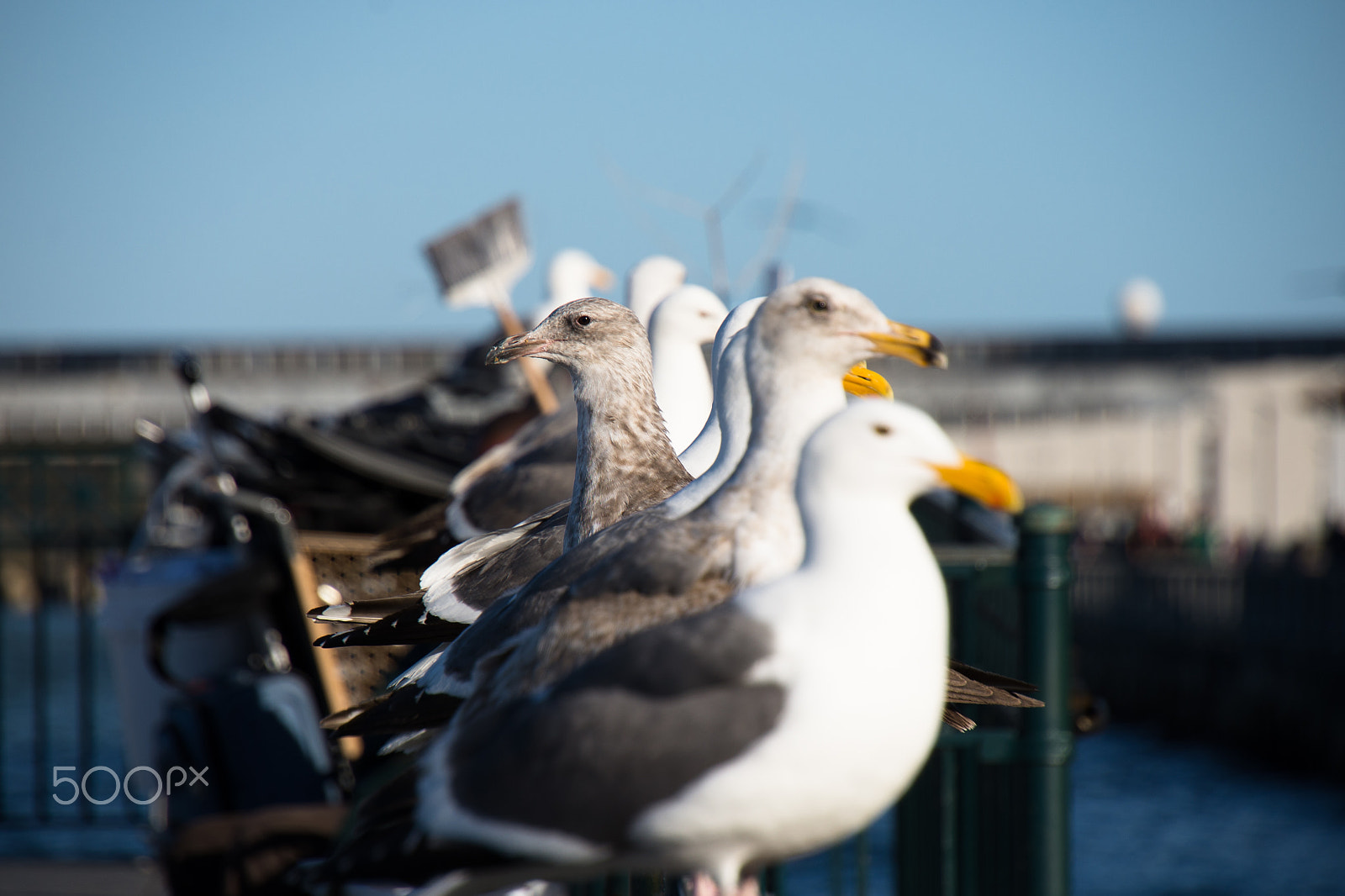 Nikon D600 sample photo. It's my choice photography