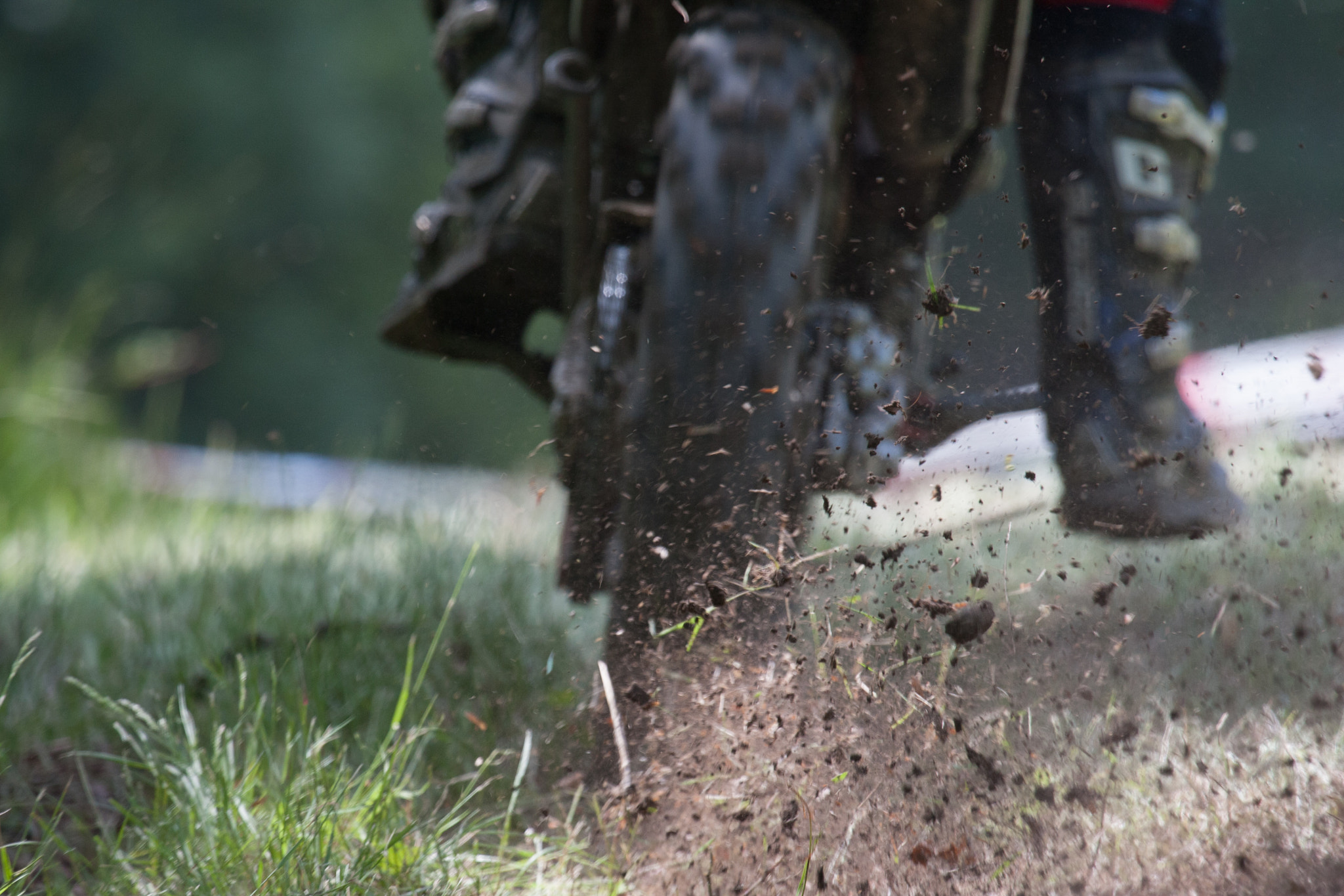 Canon EF 100-400mm F4.5-5.6L IS USM sample photo. Enduro macro photography