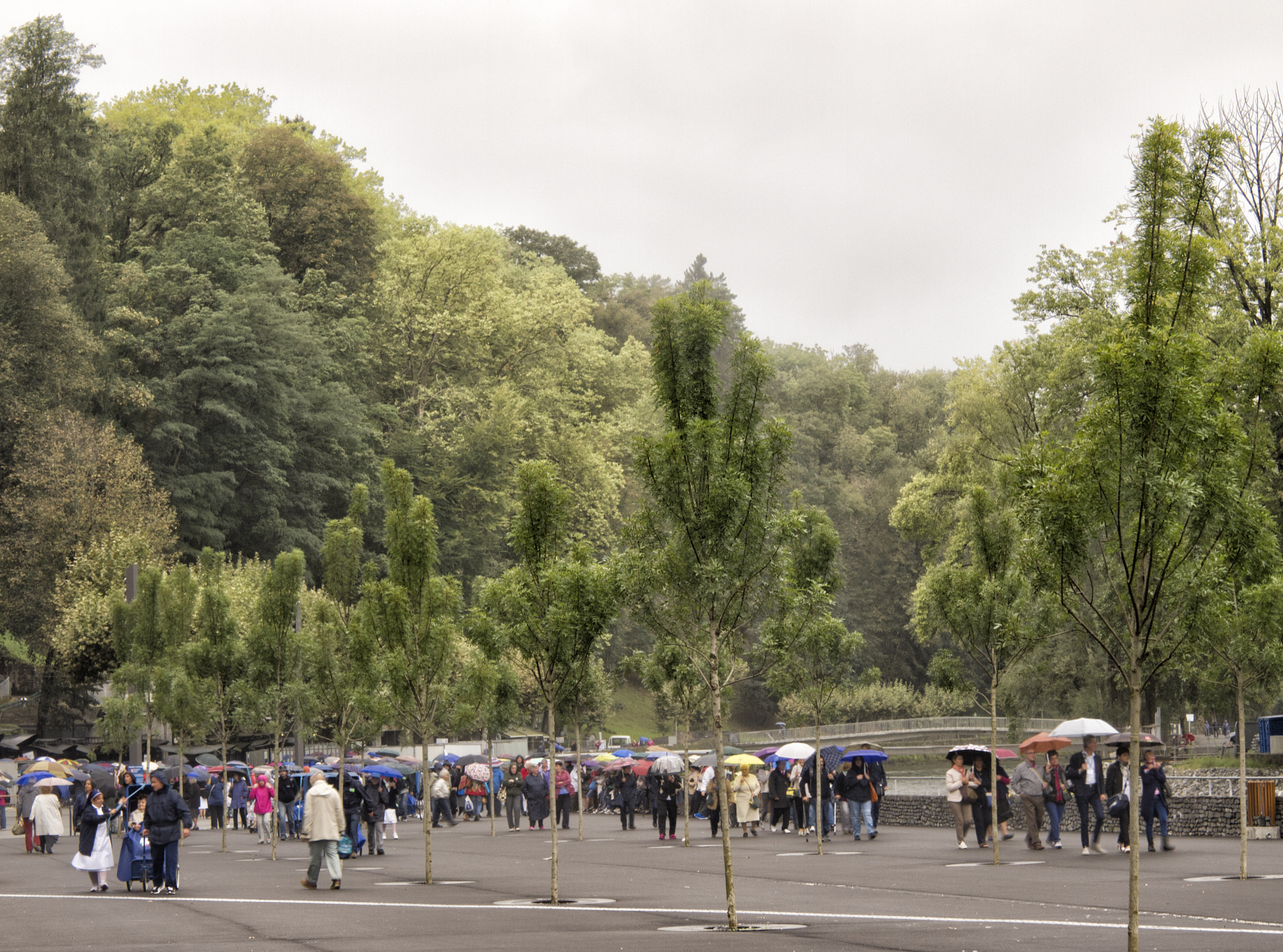 Olympus PEN E-PL1 sample photo. Lluvia photography