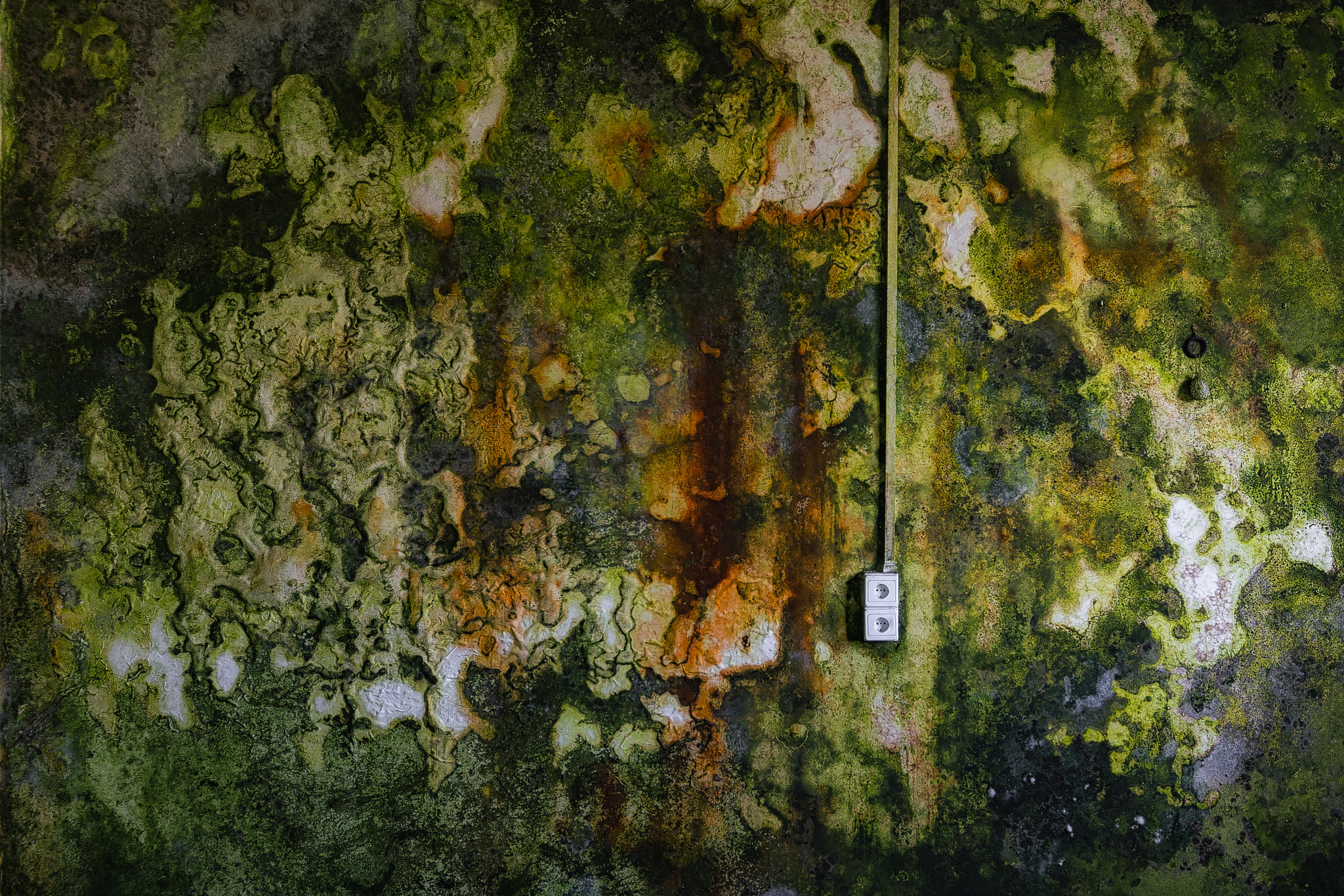 Sigma 8-16mm F4.5-5.6 DC HSM sample photo. Camouflage photography