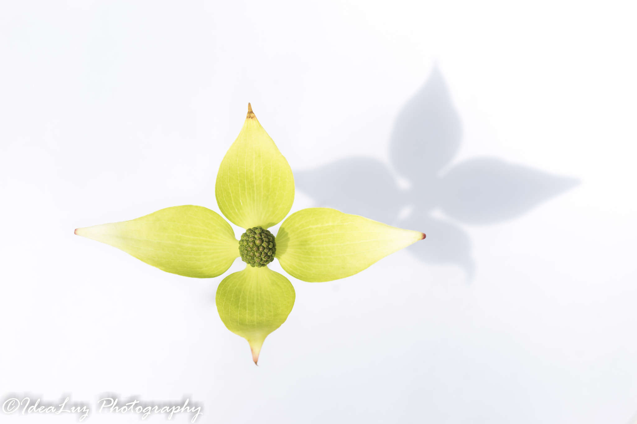 150mm F2.8 sample photo. Revelation photography