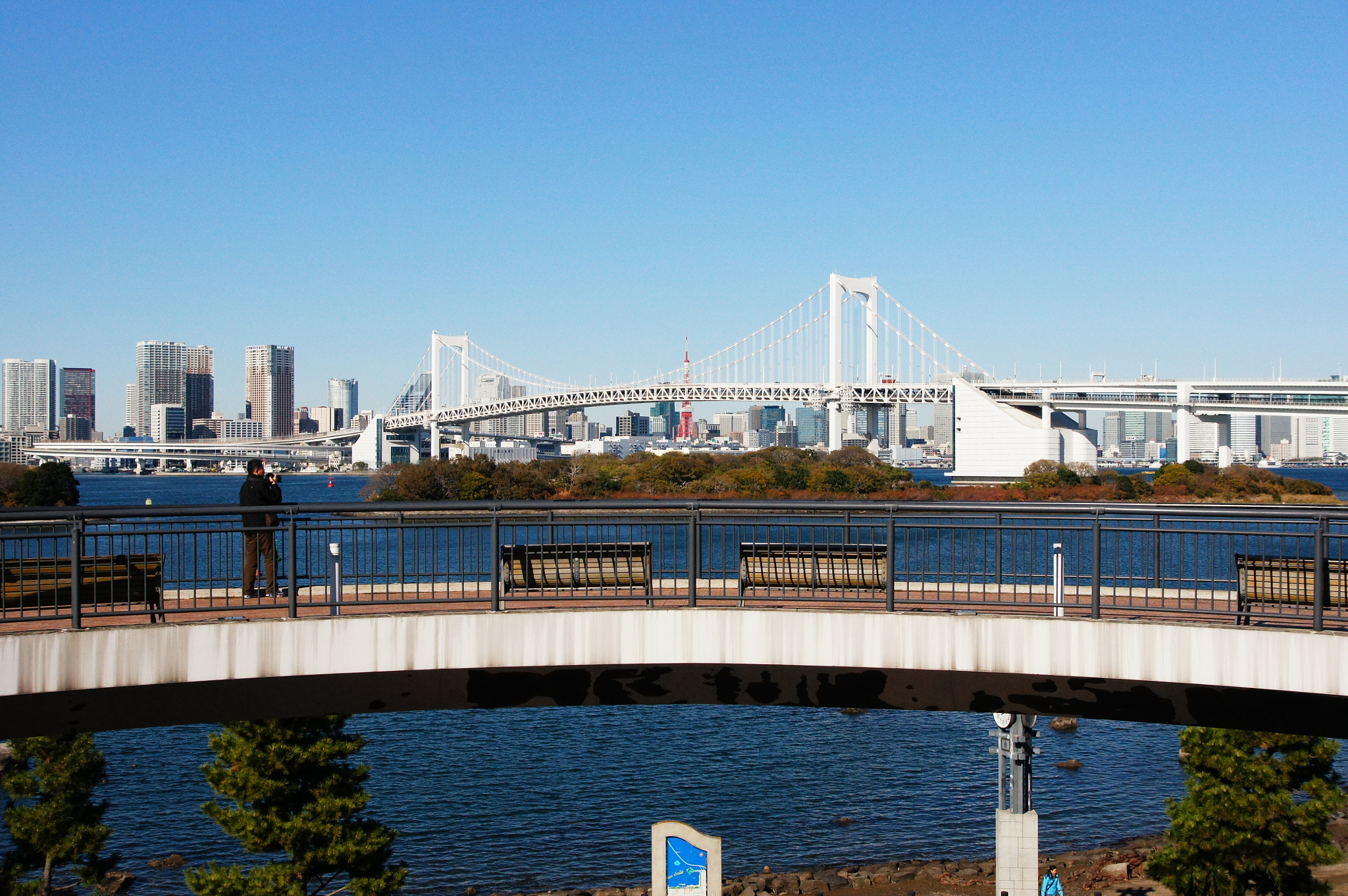 Sony SLT-A55 (SLT-A55V) sample photo. Tokyo buildings & views: 台場 photography