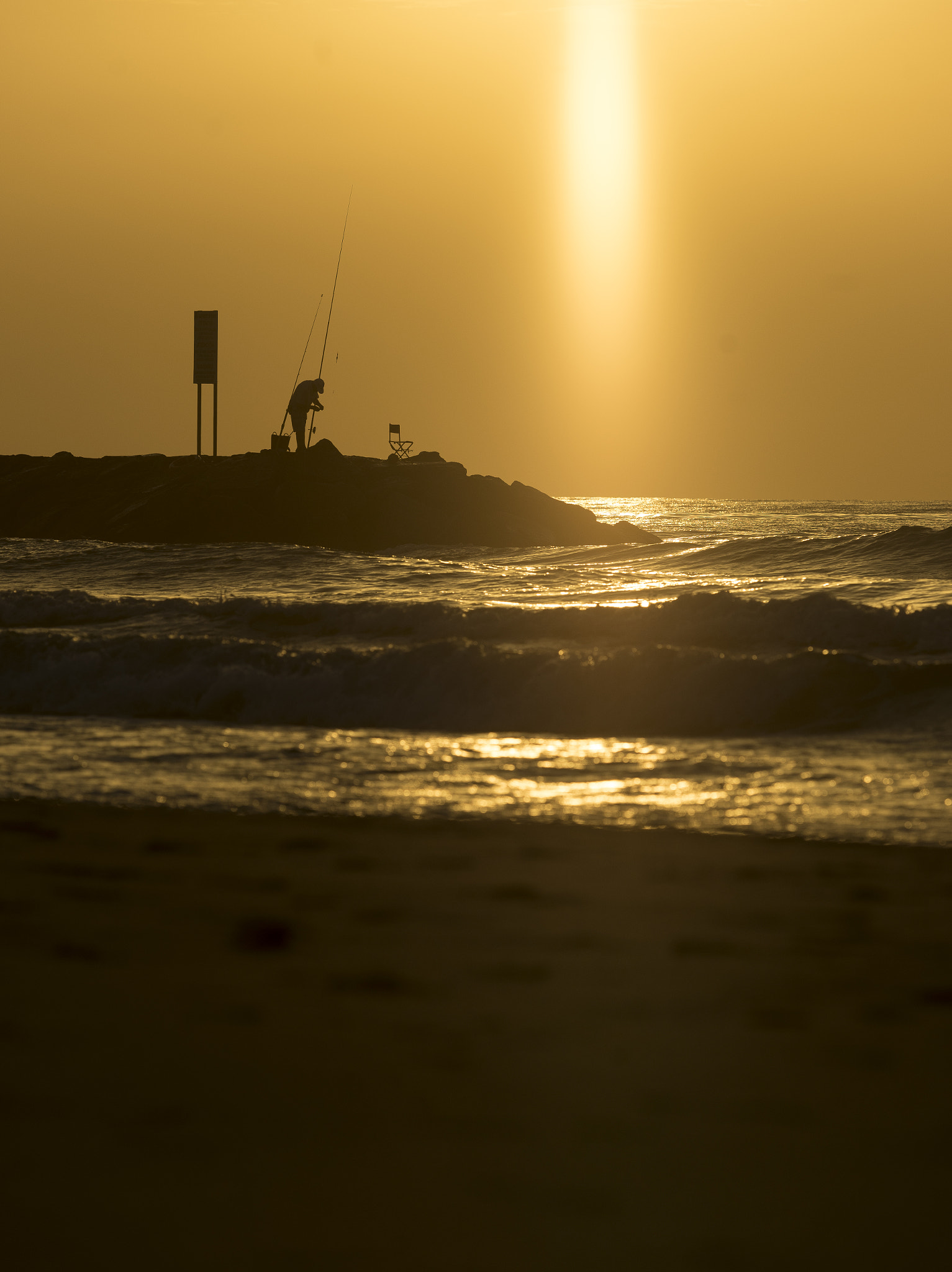 Sony a7 II + Canon EF 70-200mm F2.8L USM sample photo
