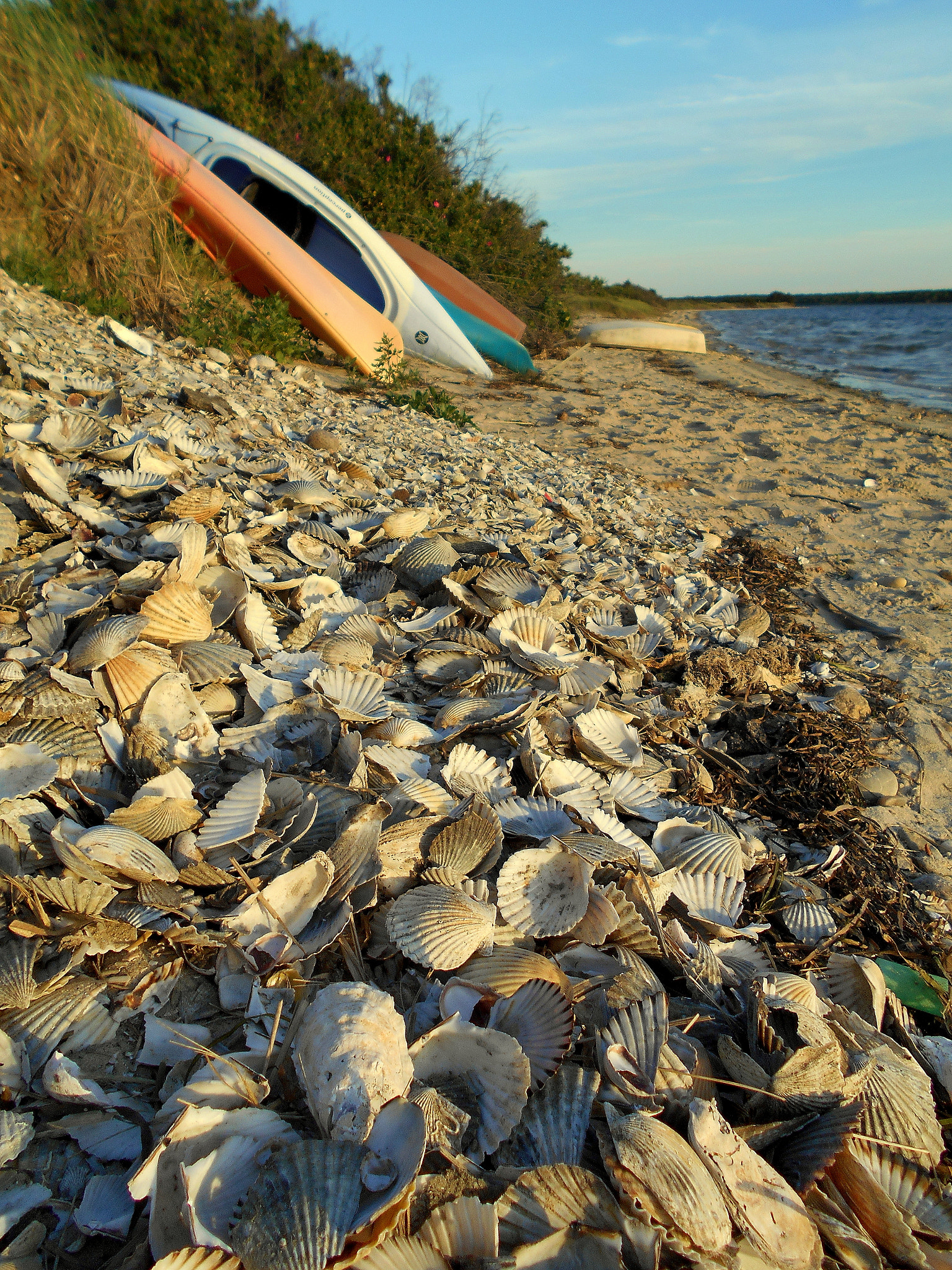 Nikon Coolpix L32 sample photo. Martha's vineyard photography