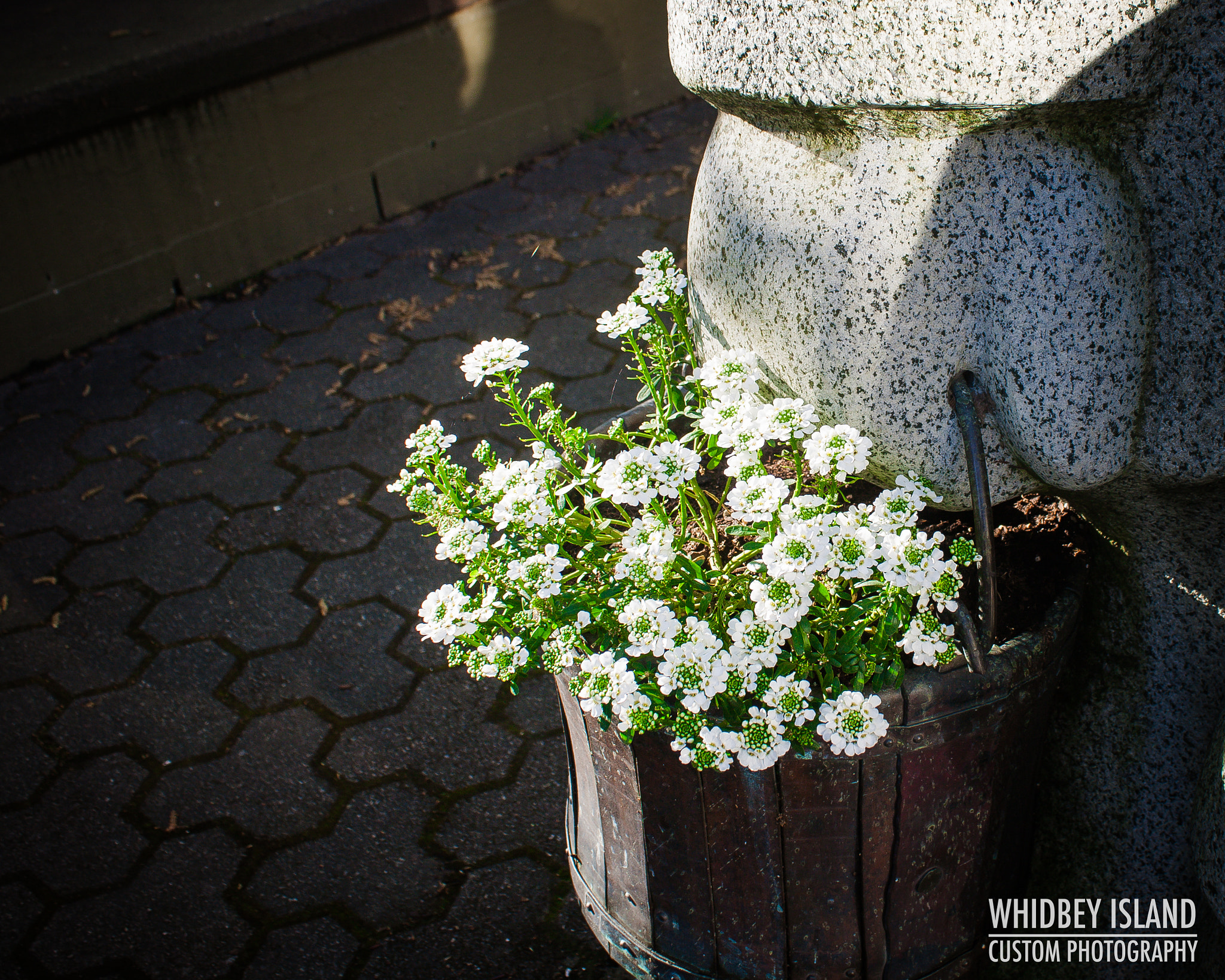 Canon EOS 400D (EOS Digital Rebel XTi / EOS Kiss Digital X) sample photo. Copyright 2016 - whidbey custom photography photography