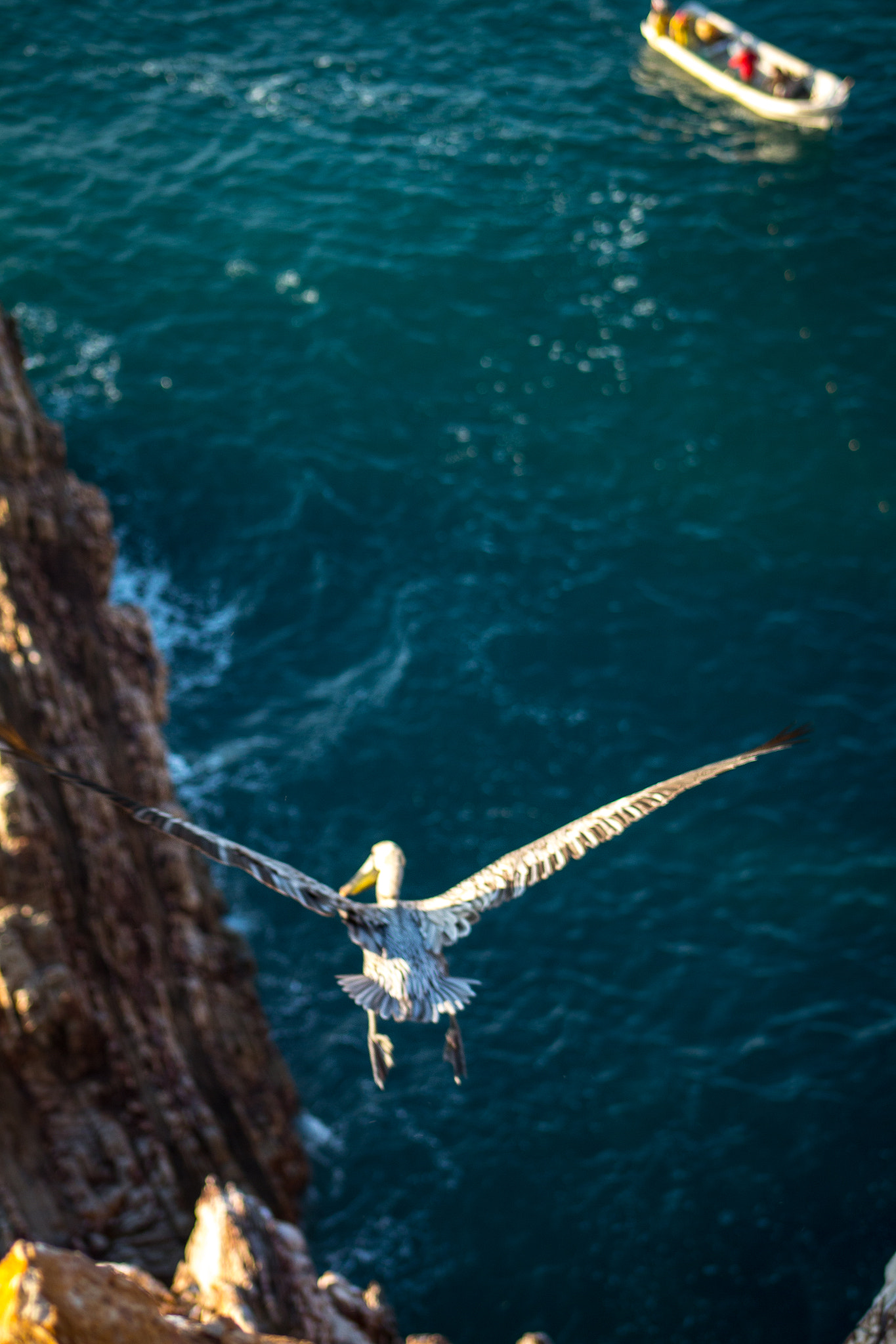 Canon EF 75-300mm f/4-5.6 USM sample photo. Taking flight photography