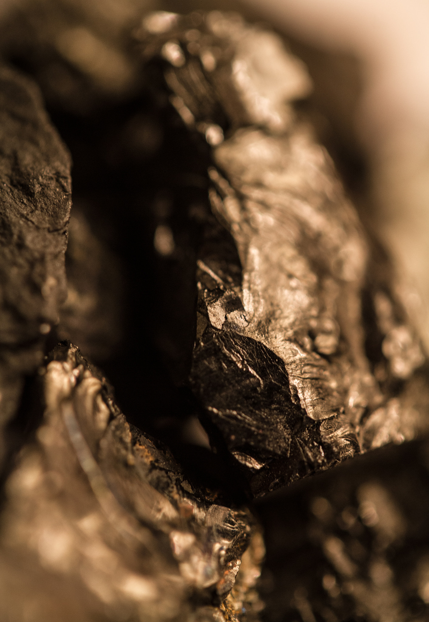 Canon EF-S 60mm F2.8 Macro USM sample photo. Illuminated carbon footprint photography