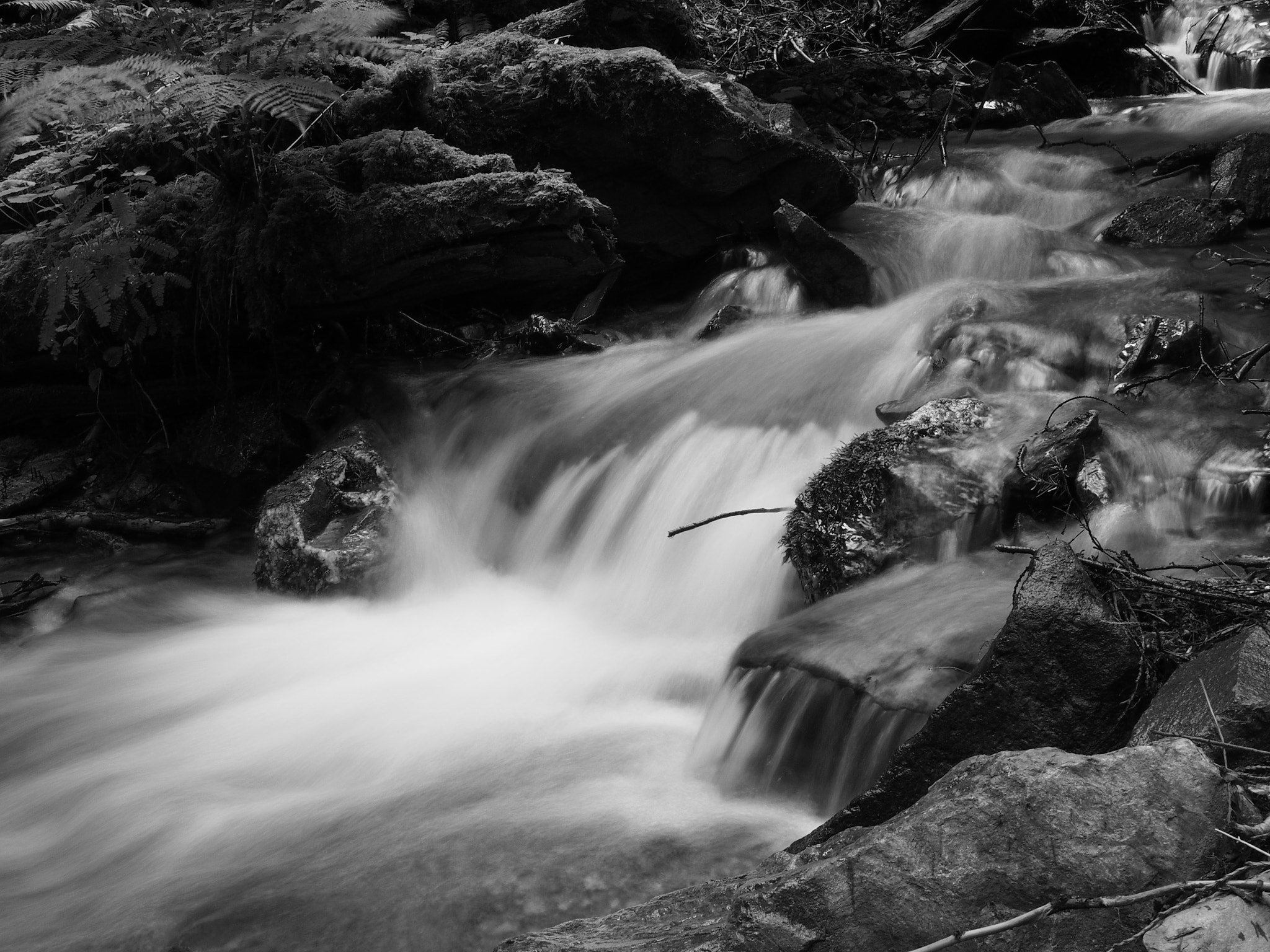 Olympus Zuiko Digital ED 14-42mm F3.5-5.6 sample photo. Black and white photography