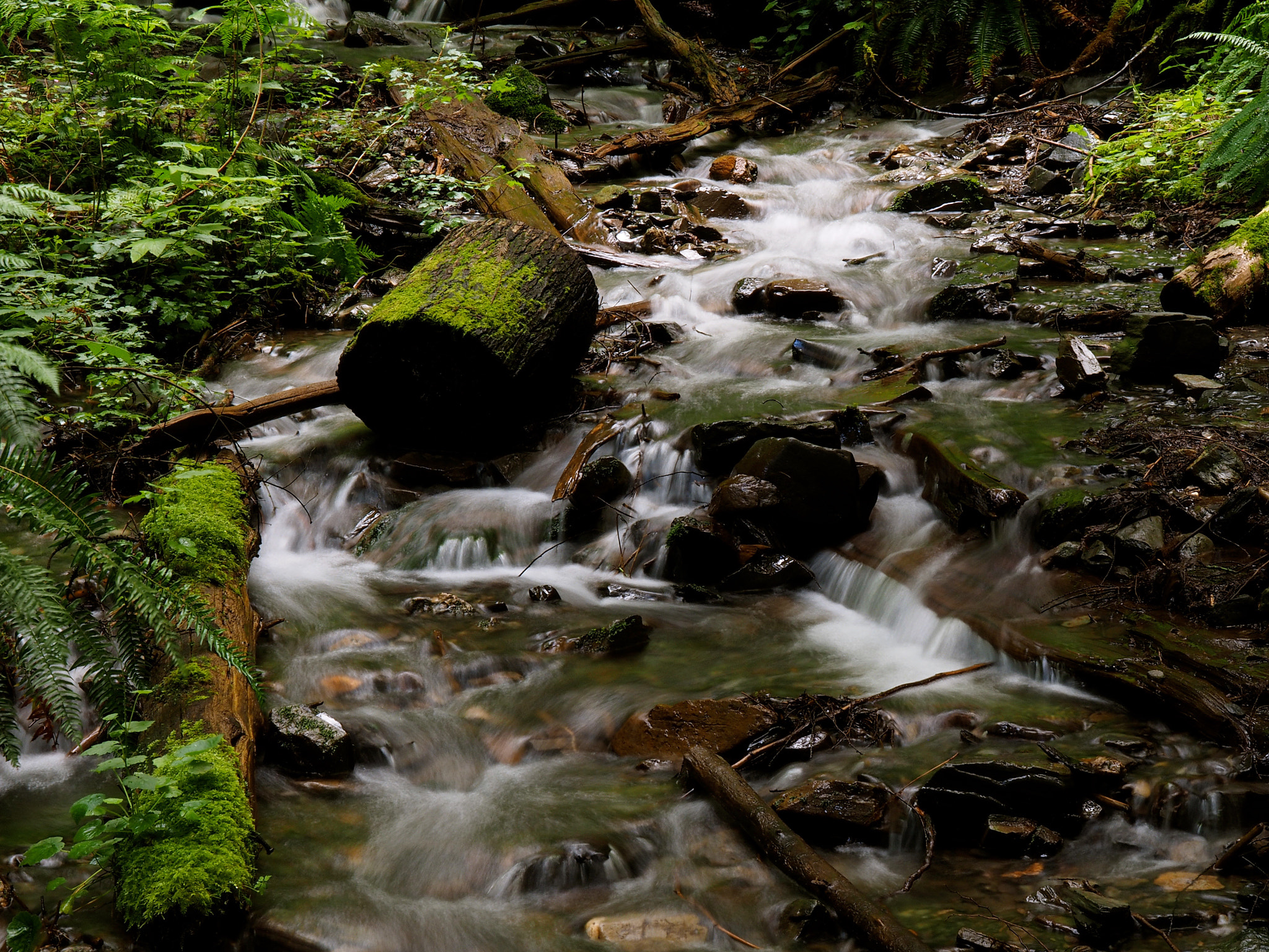 Olympus OM-D E-M1 sample photo. A lovely day for a walk up the the creek bed. photography