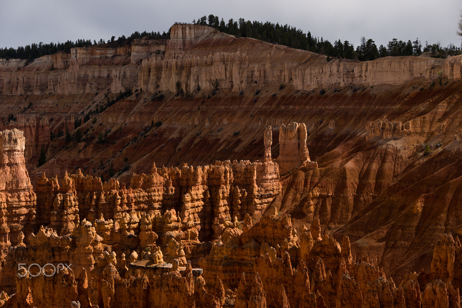 Sony 70-200mm F2.8 G SSM II sample photo. Bryce canyon after rainfall photography
