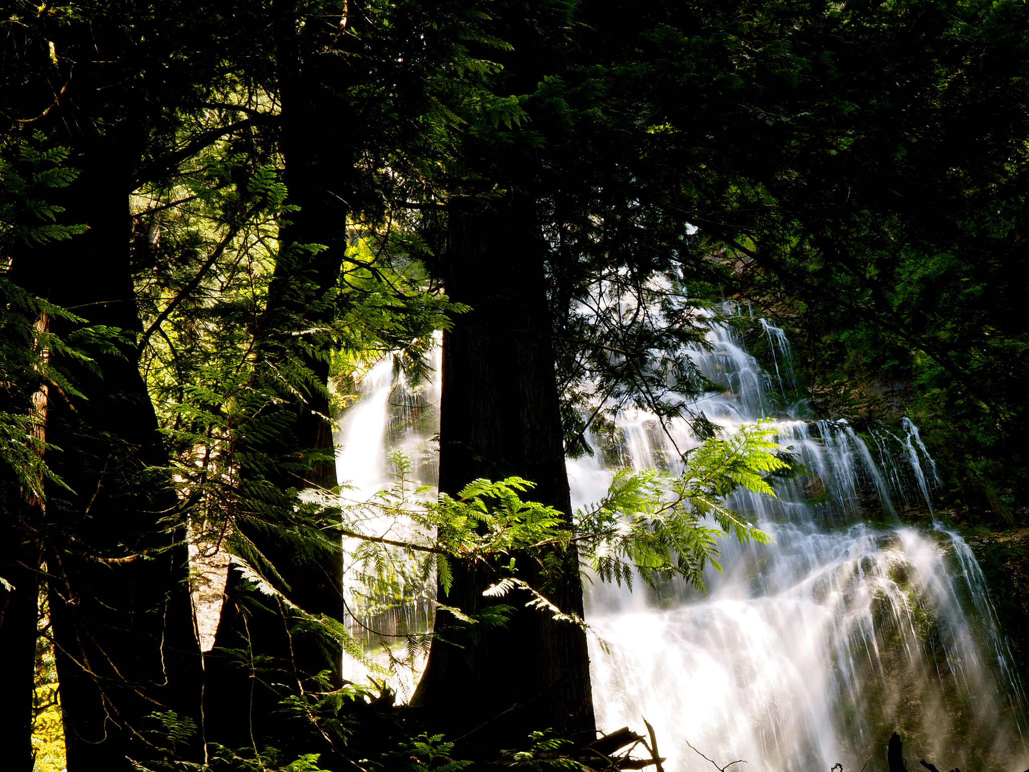 Olympus Zuiko Digital ED 14-42mm F3.5-5.6 sample photo. Solo mission up the creek.. photography