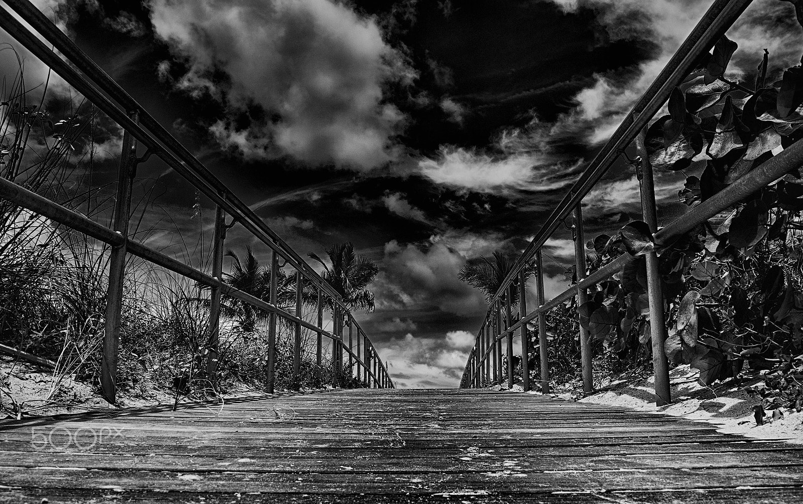 Nikon 1 J3 sample photo. Gateway to the beach photography