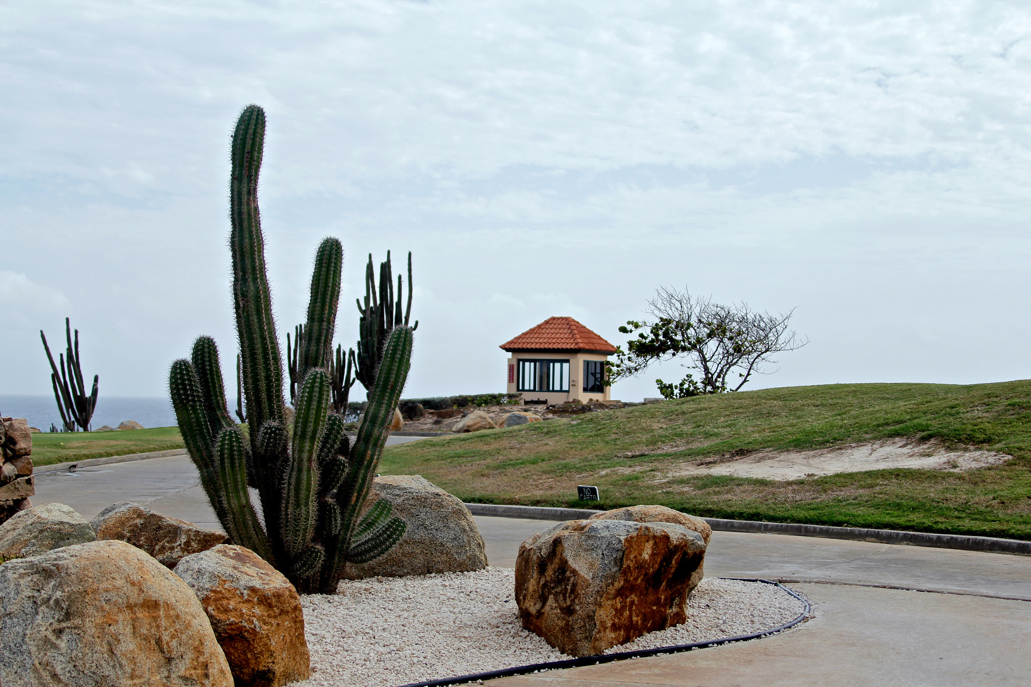 Canon EF 28-300mm F3.5-5.6L IS USM sample photo. Tierra del sol golf club photography