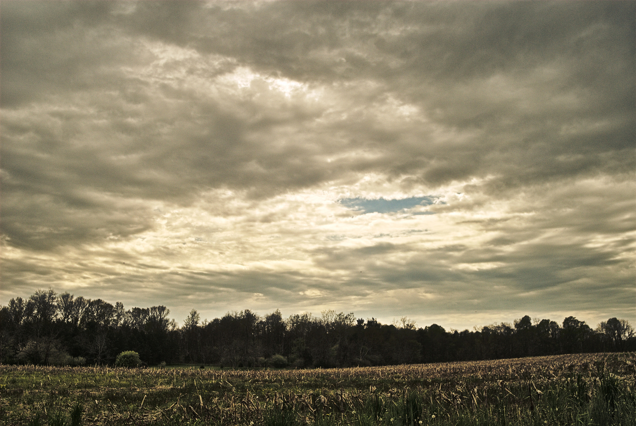 Soligor AF Zoom 19-35mm 1:3.5-4.5 MC sample photo. A patch of blue photography