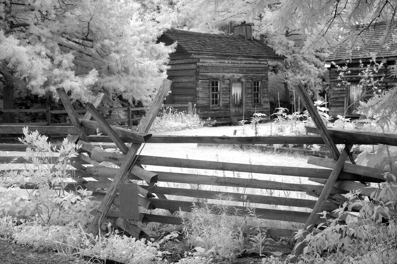 Canon EOS 40D sample photo. Plum bayou log house photography