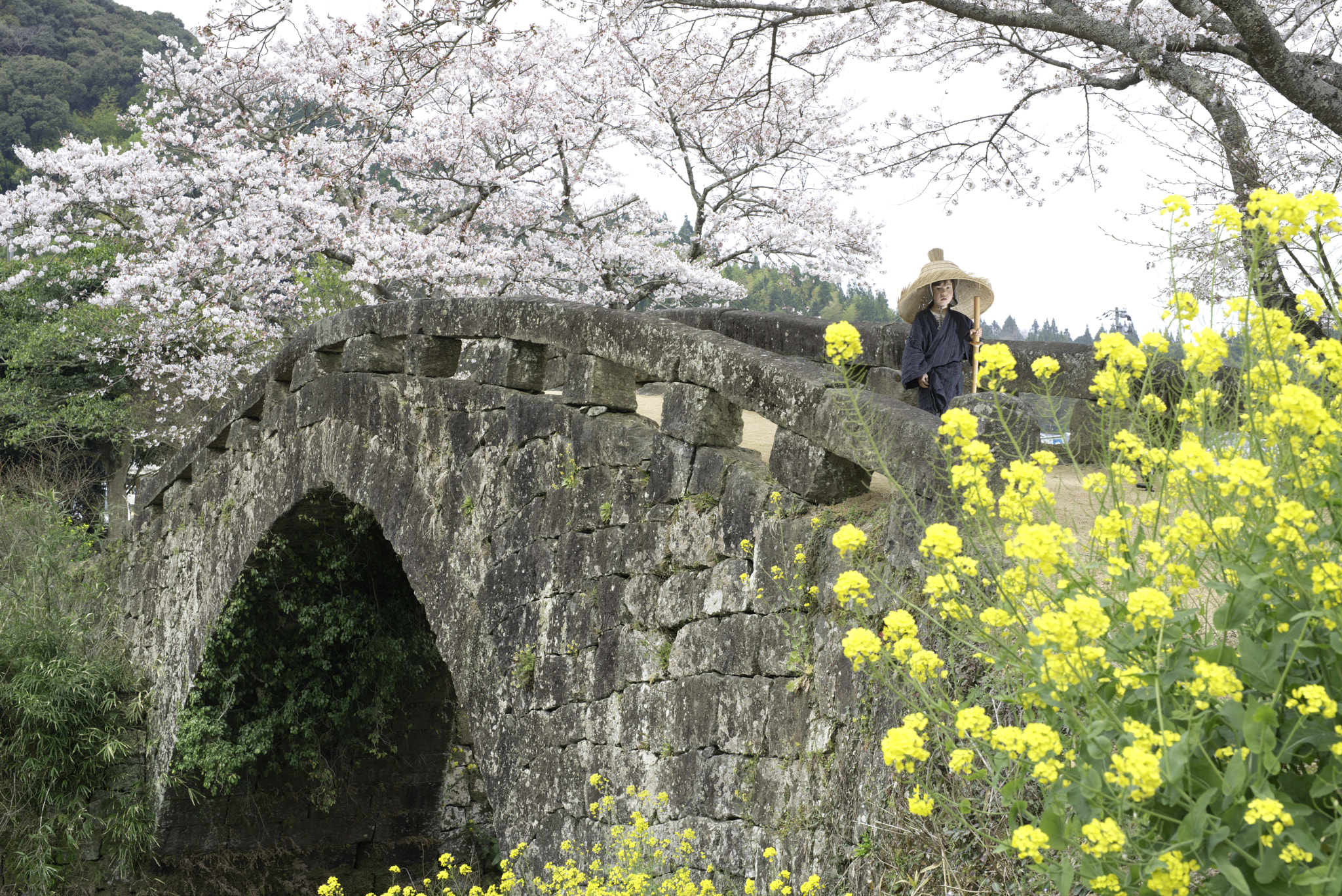 Nikon D800E + Sigma 50mm F1.4 DG HSM Art sample photo. Ronin boy photography