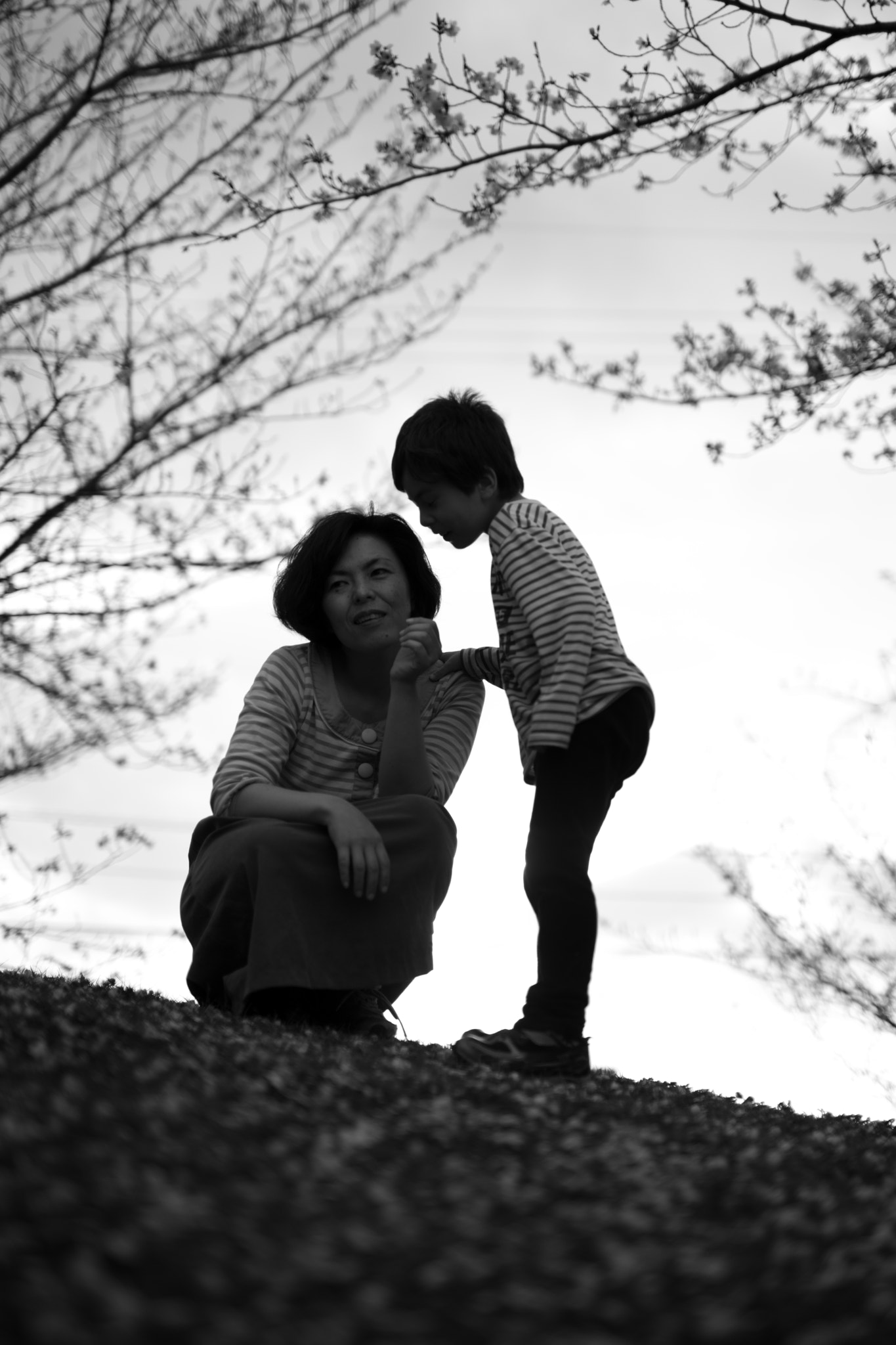 Nikon D800E + Sigma 50mm F1.4 DG HSM Art sample photo. Secret photography