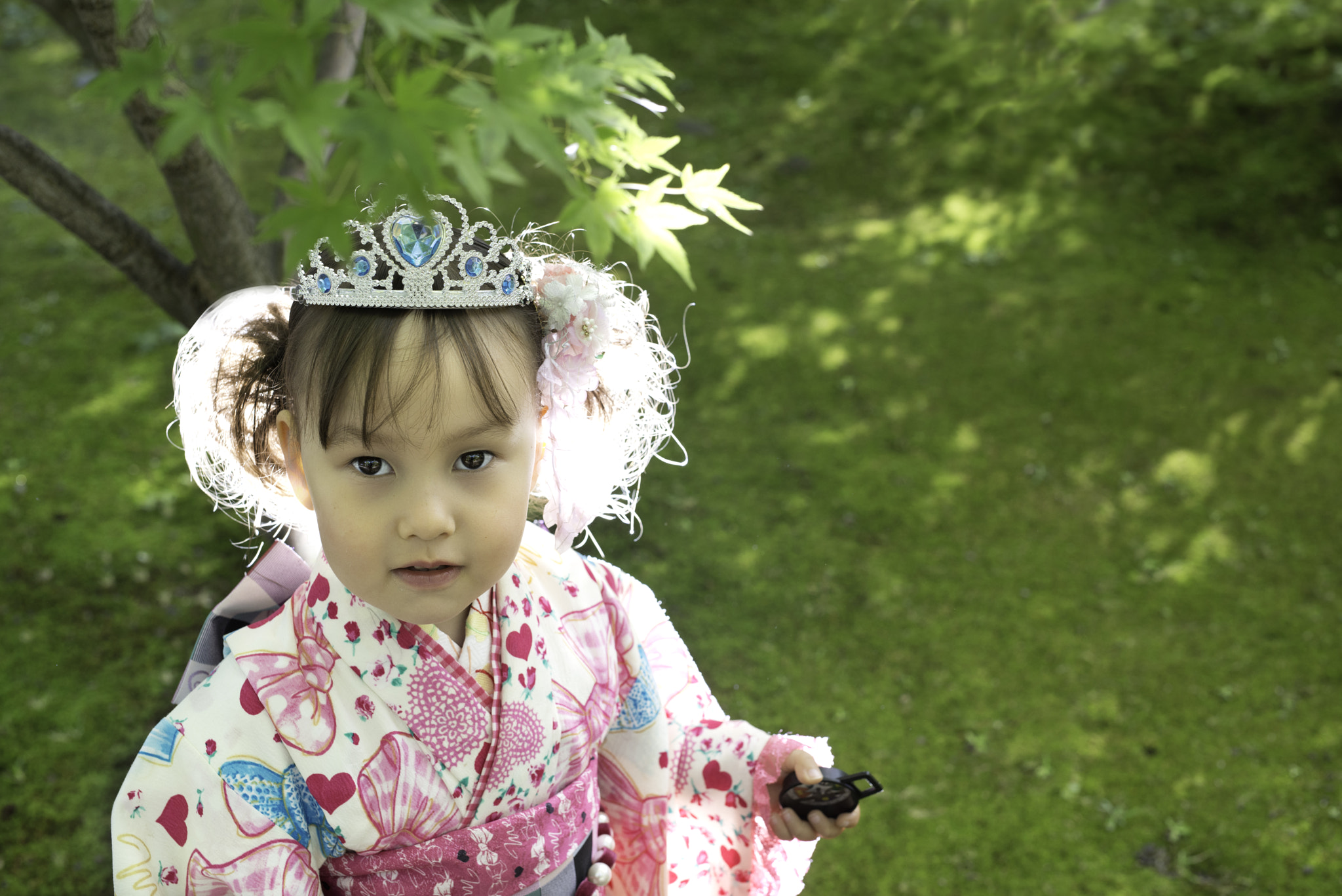 Nikon D800E + Sigma 50mm F1.4 DG HSM Art sample photo. 7-5-3 photography