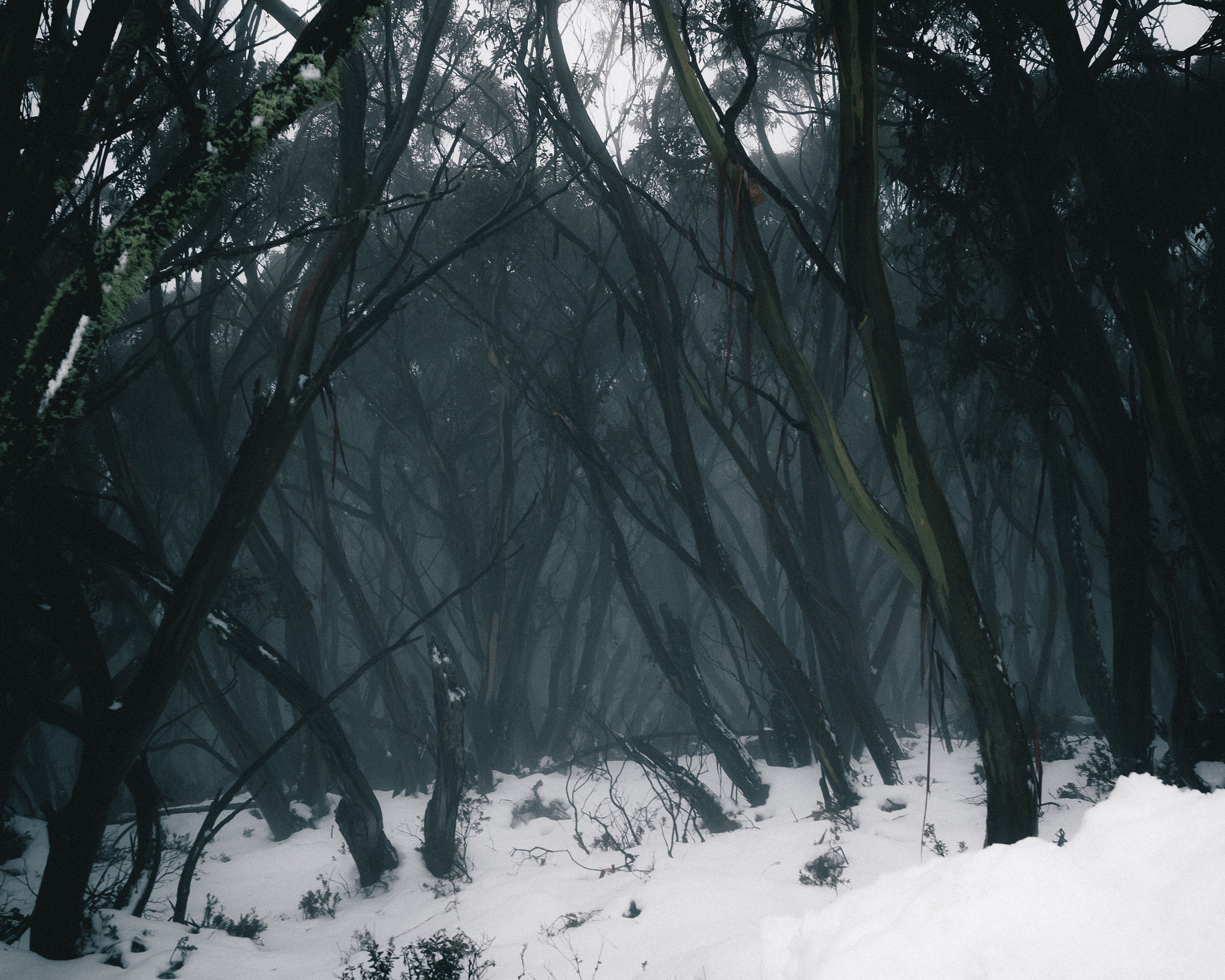 Sigma 24mm F1.4 DG HSM Art sample photo. Beyond this moment. photography