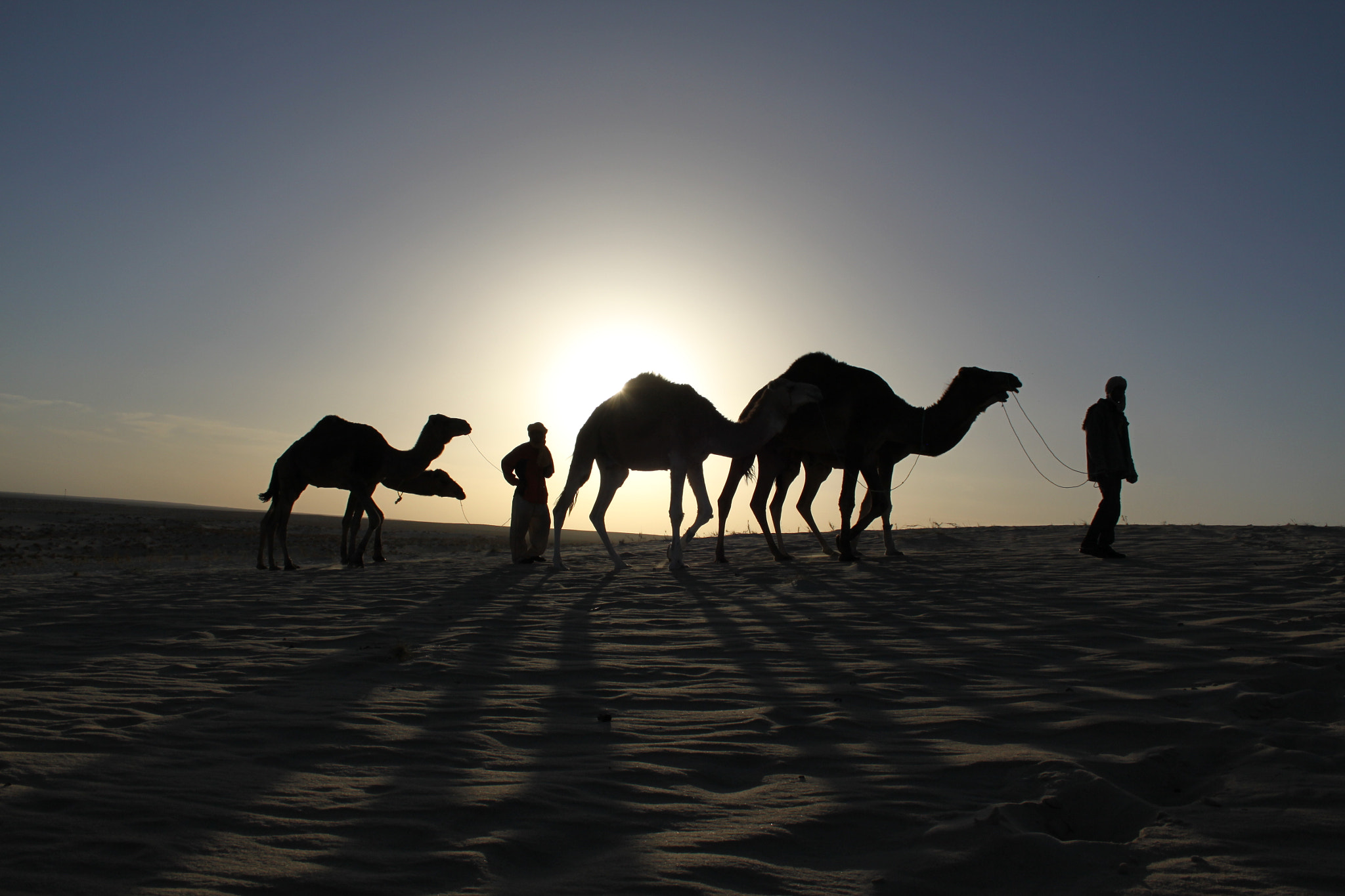 Canon EF-S 18-55mm f/3.5-5.6 USM sample photo. Sahara desert photography