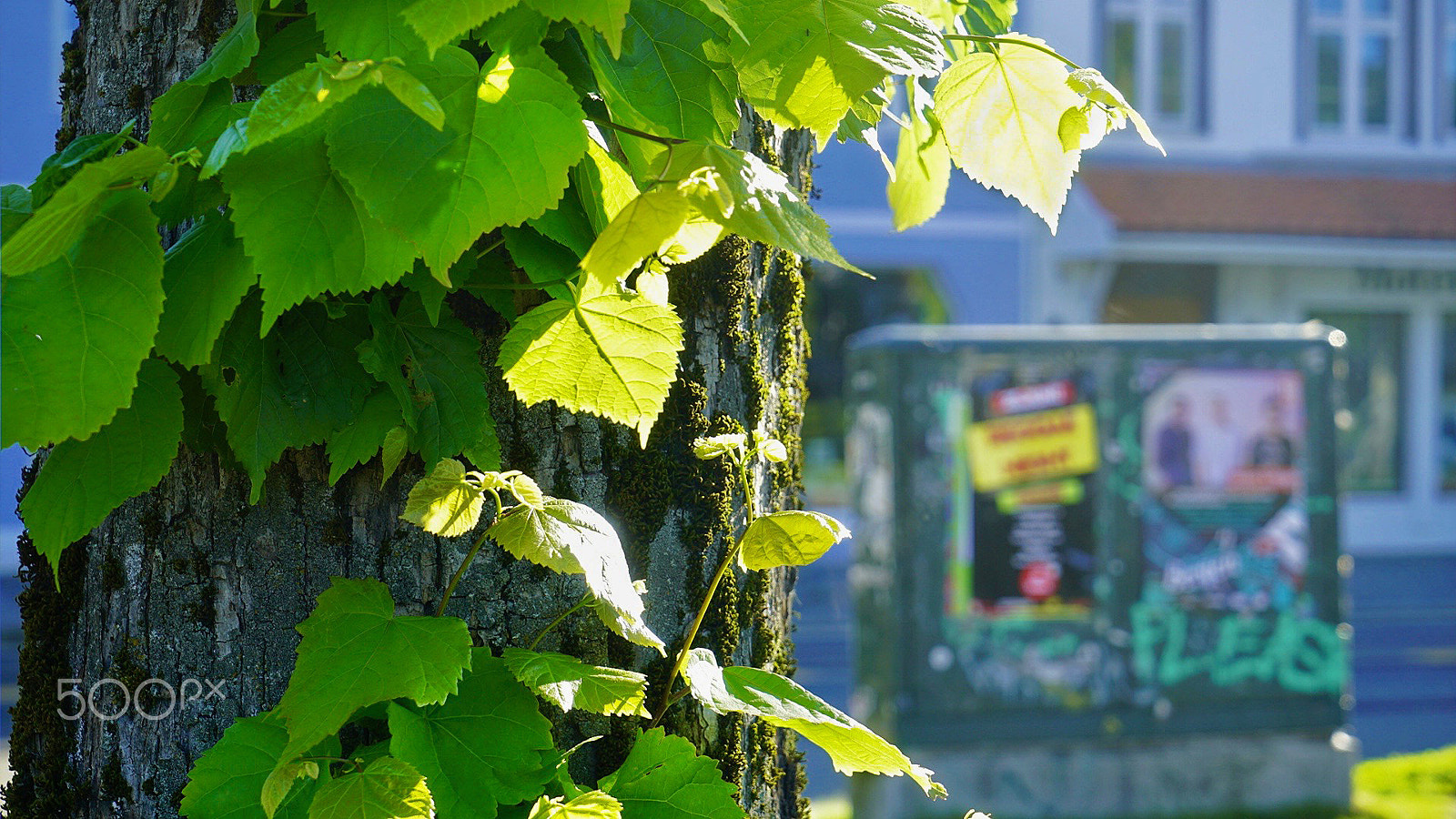 Sony 0mm F0.0 sample photo. Norway street life photography