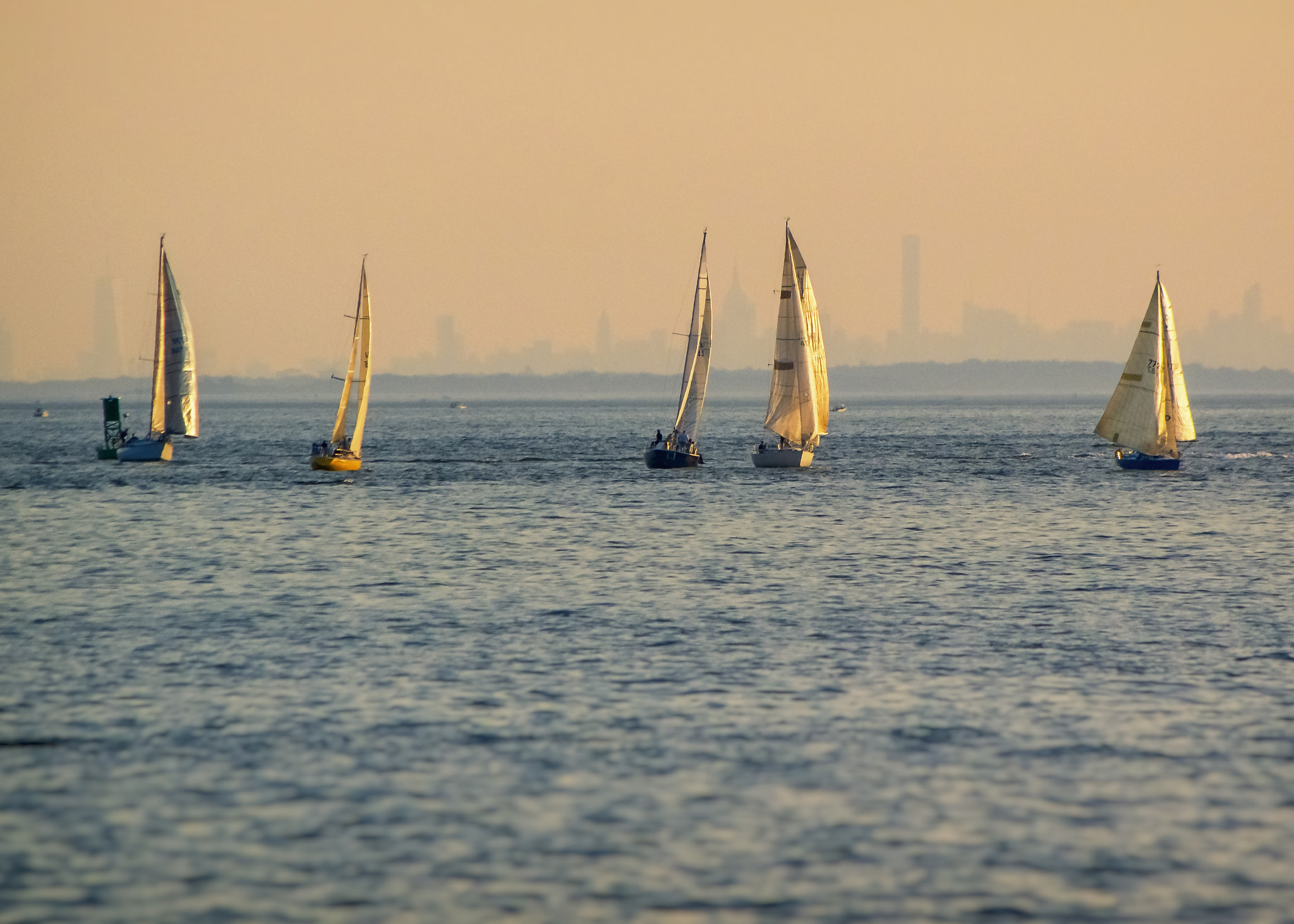 HD Pentax DA 55-300mm F4.0-5.8 ED WR sample photo. Gold coast photography