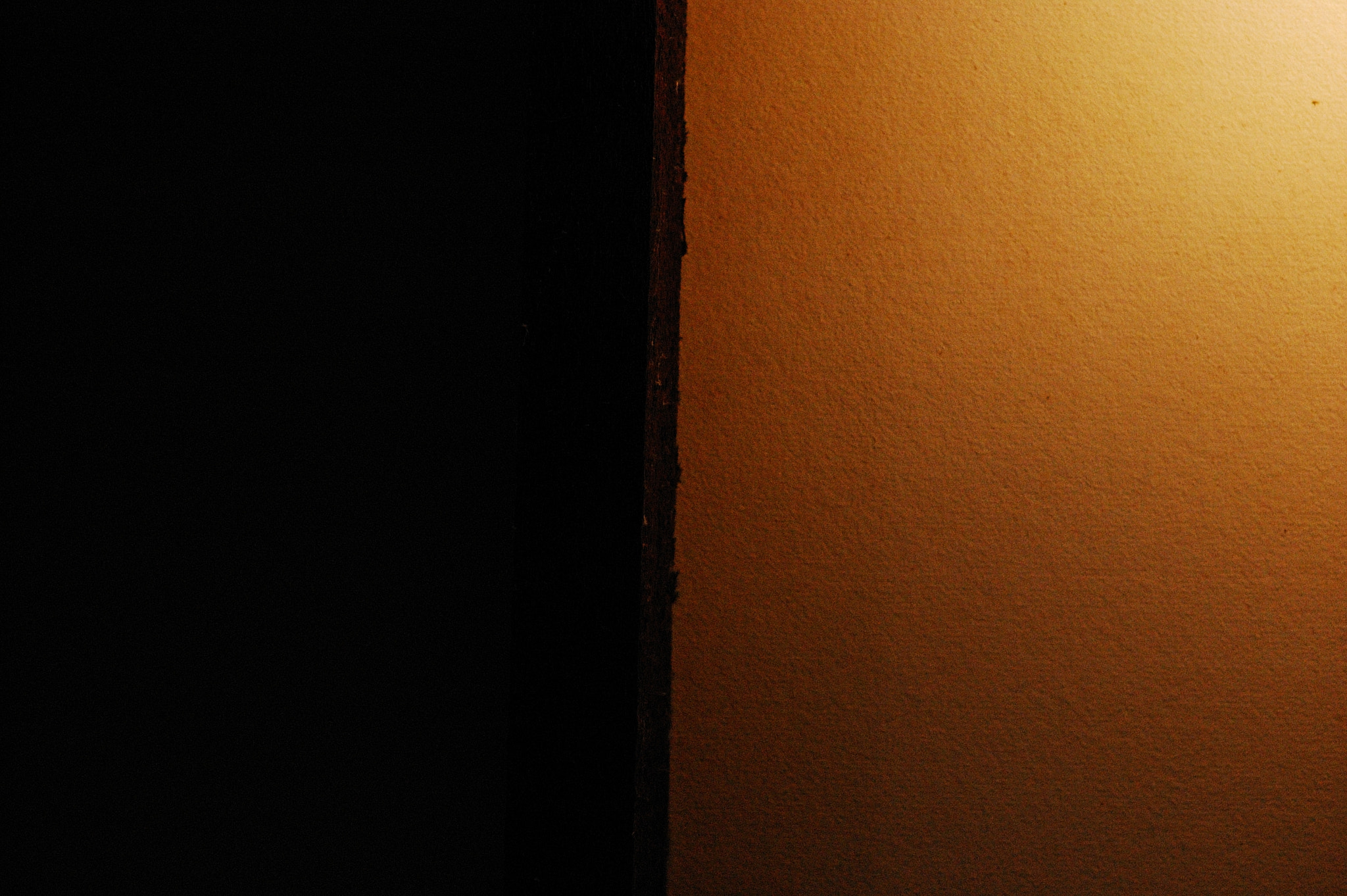 Nikon D40 + Nikon AF-S Nikkor 50mm F1.4G sample photo. Dsc_0392.jpg photography