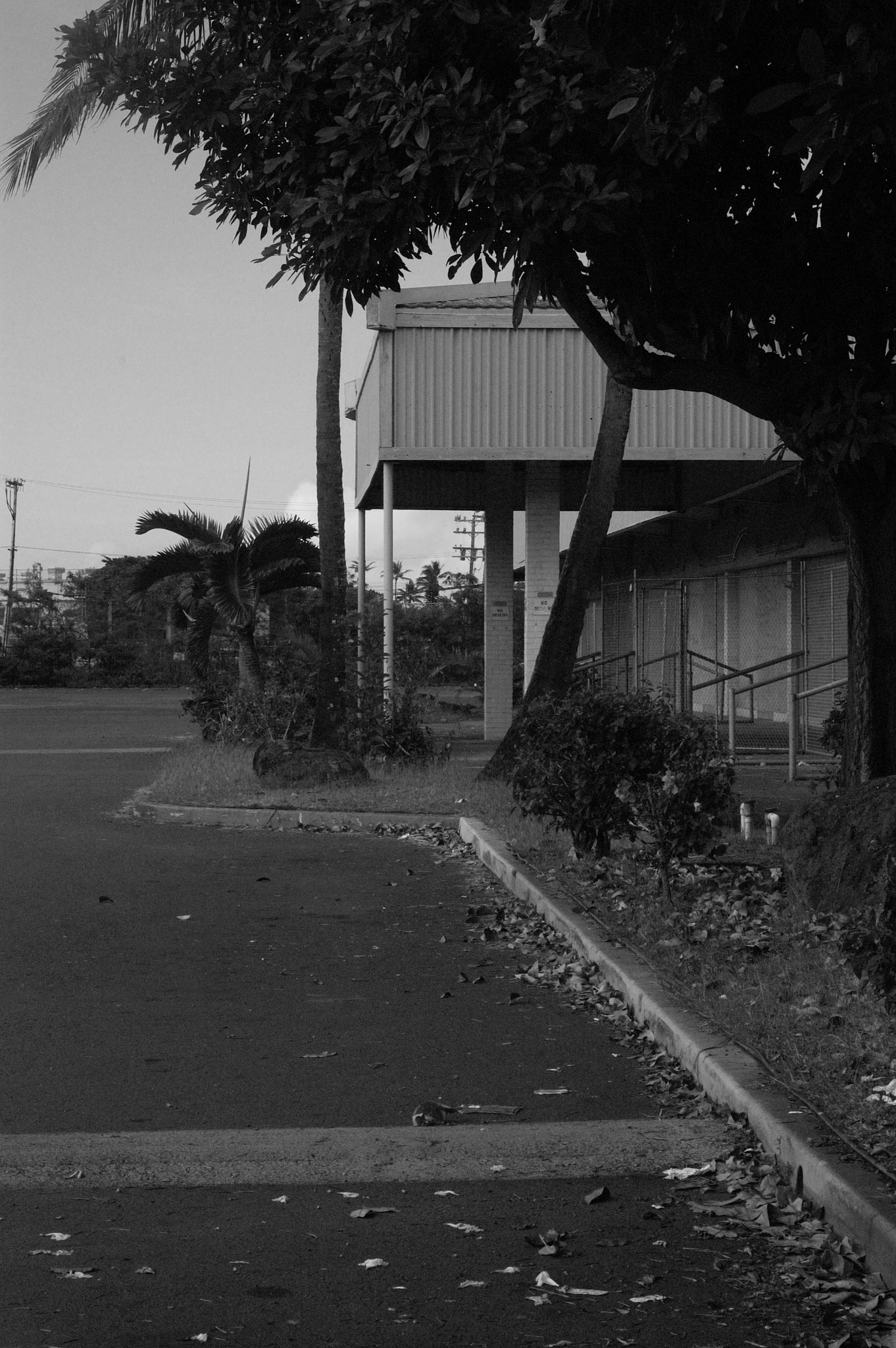 Nikon D40 + Nikon AF Nikkor 50mm F1.8D sample photo. Dsc_0382.jpg photography