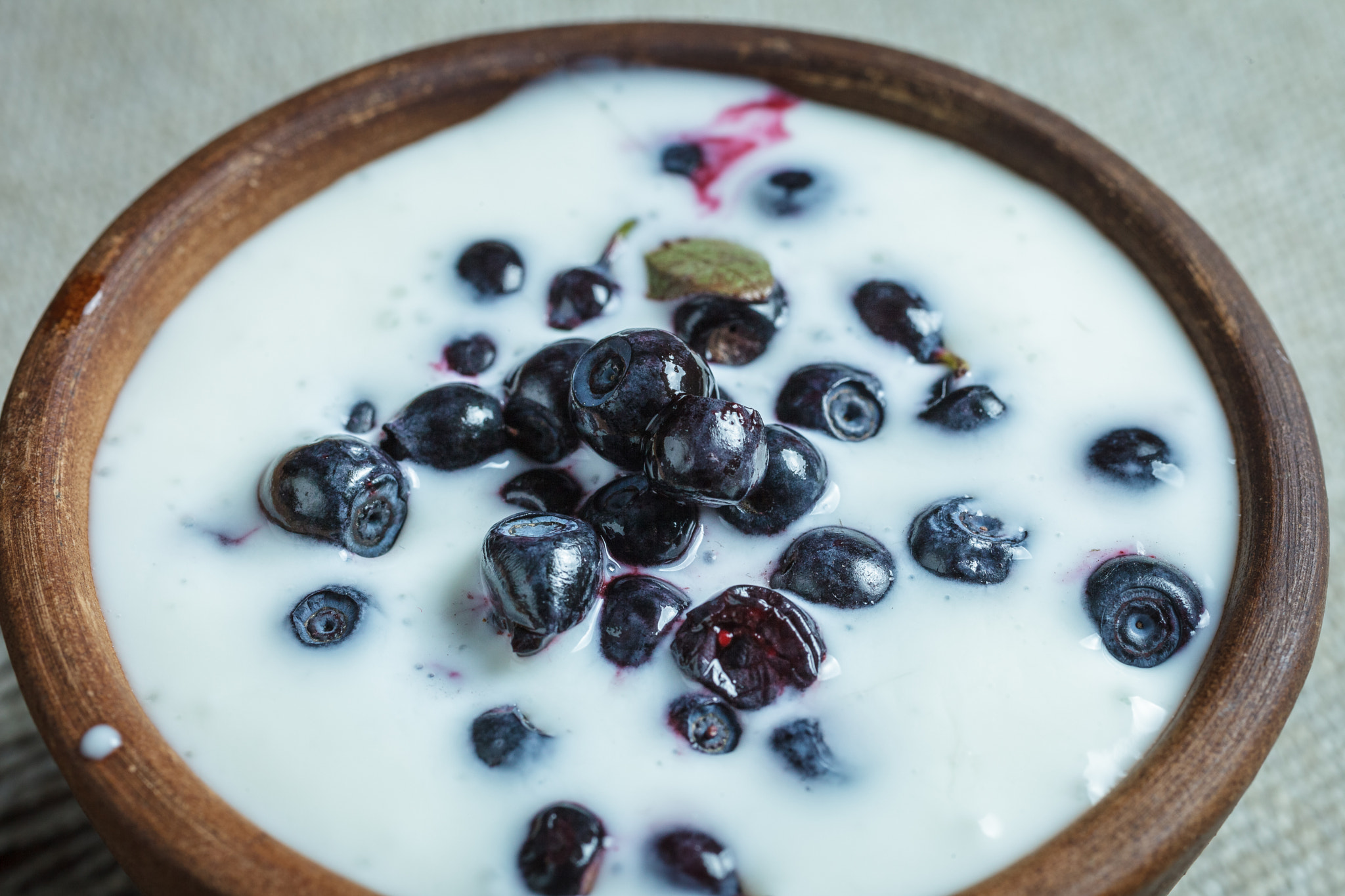 Canon EF 50mm F2.5 Macro sample photo. Blueberries photography