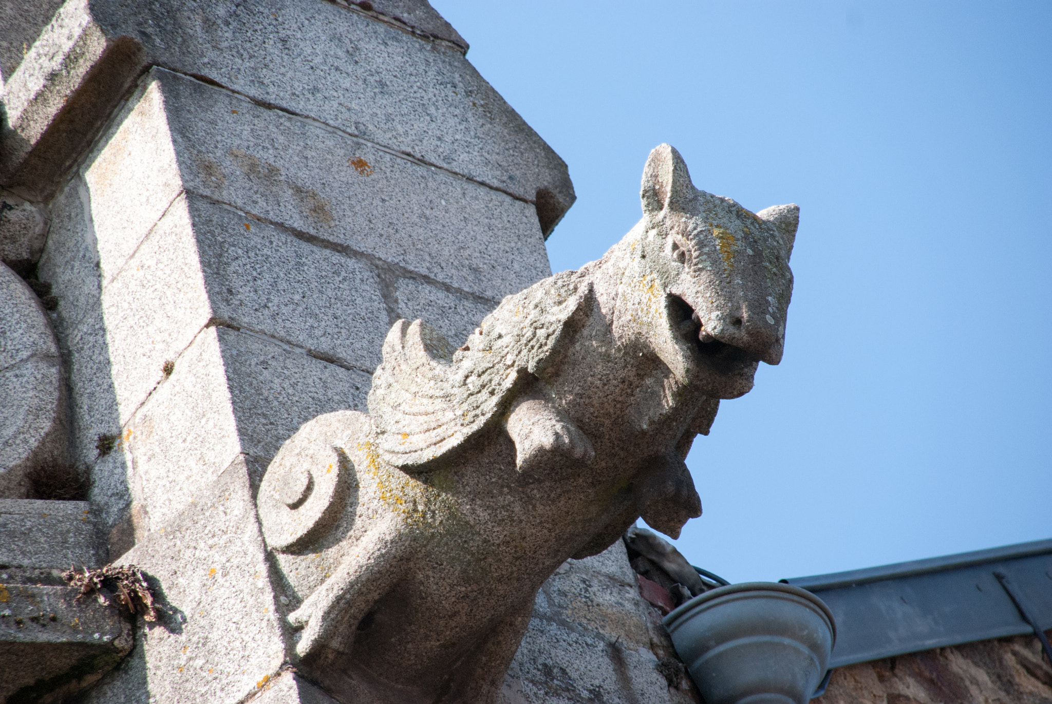 Nikon D80 + Sigma 18-200mm F3.5-6.3 DC sample photo. Squirrel gargoyle photography