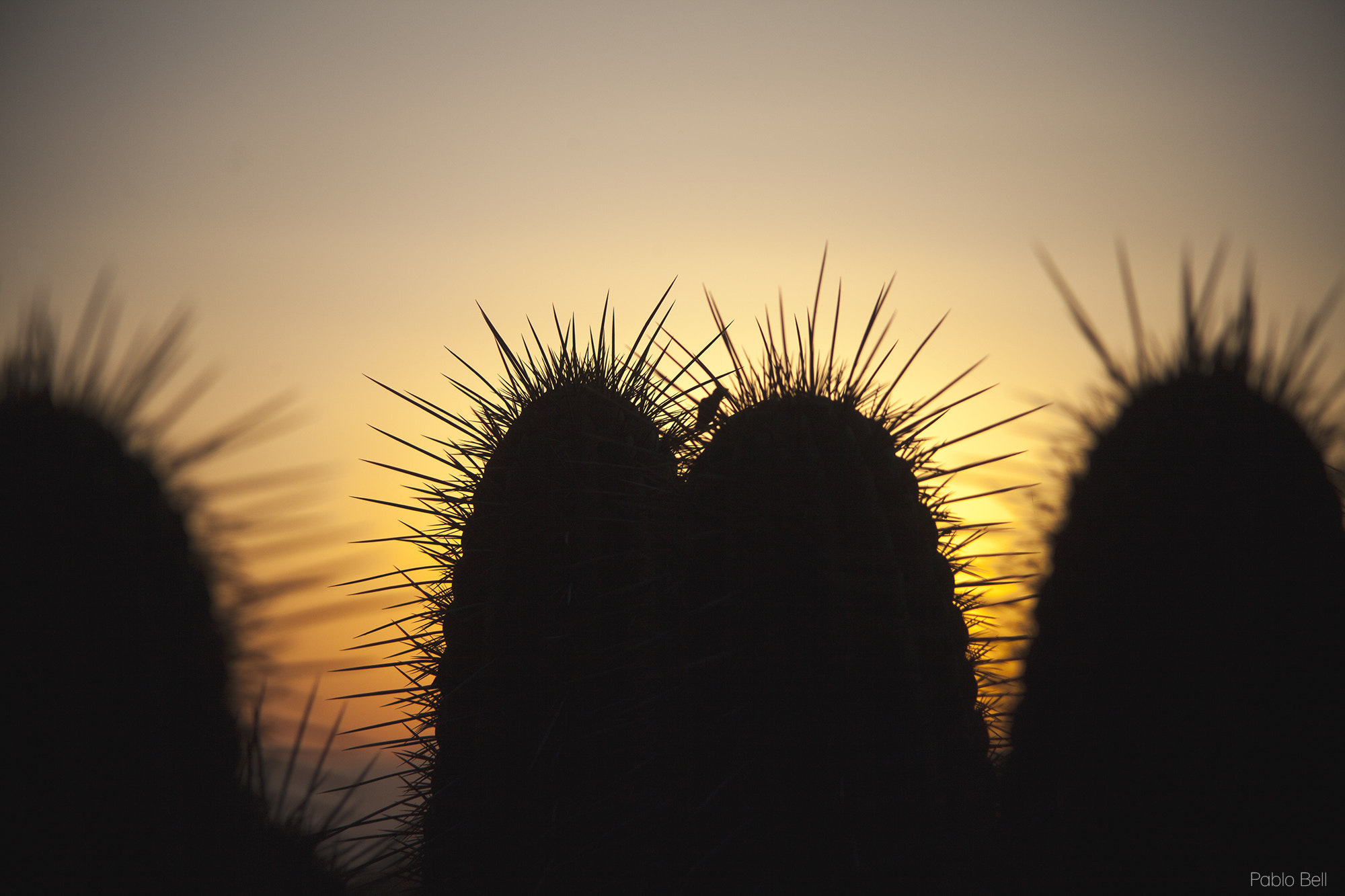 Canon EF 35-135mm f/4-5.6 USM sample photo. Web photography