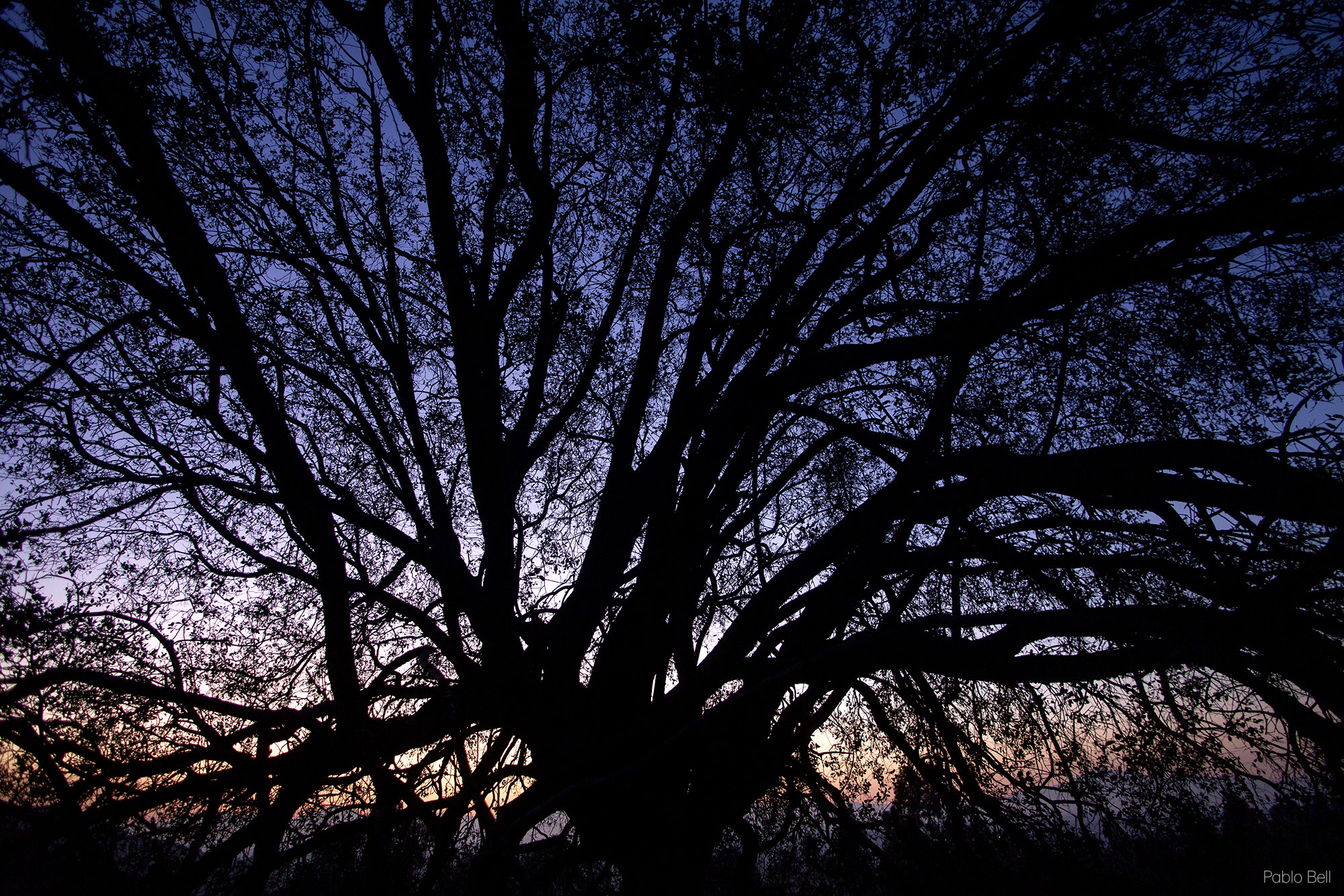 Canon EF 20-35mm F3.5-4.5 USM sample photo. Web photography