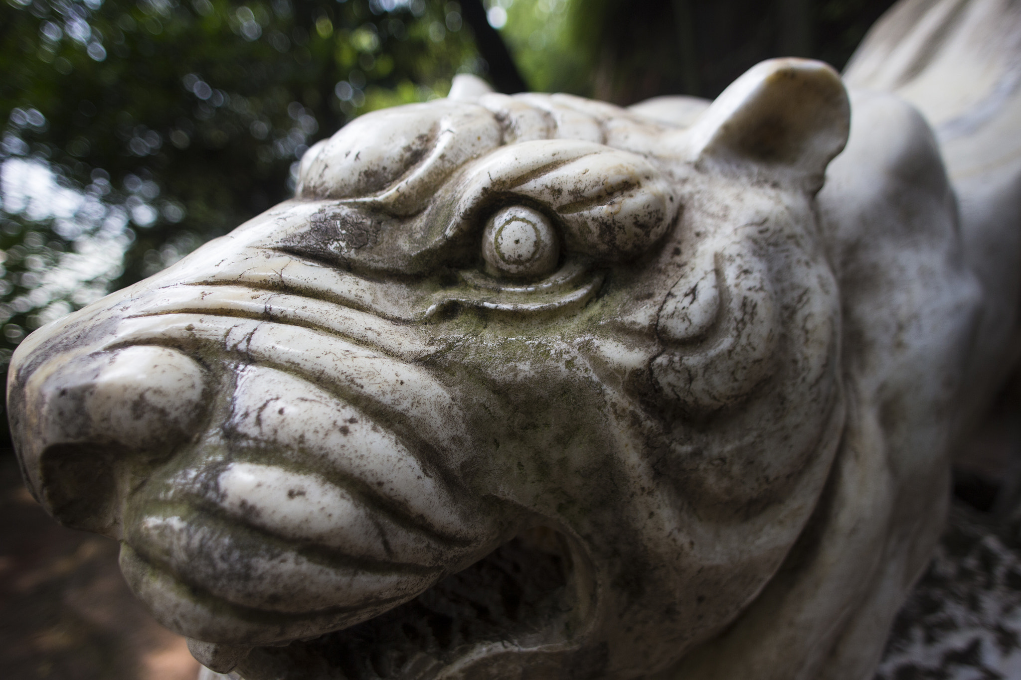 Canon EOS 6D + Sigma 24mm f/1.8 DG Macro EX sample photo. Tiger statue in china photography