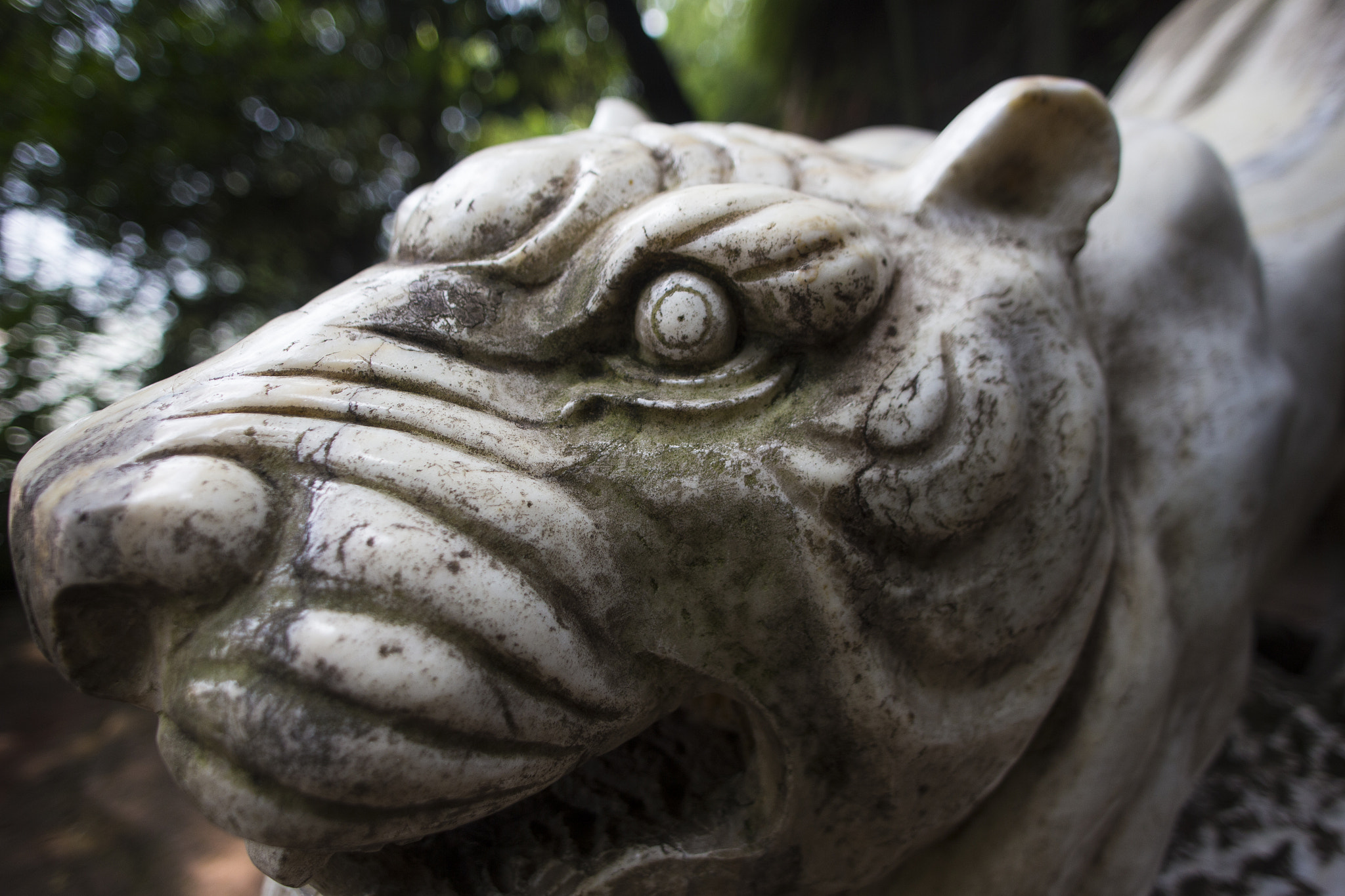 Sigma 24mm f/1.8 DG Macro EX sample photo. Tiger statue in china photography