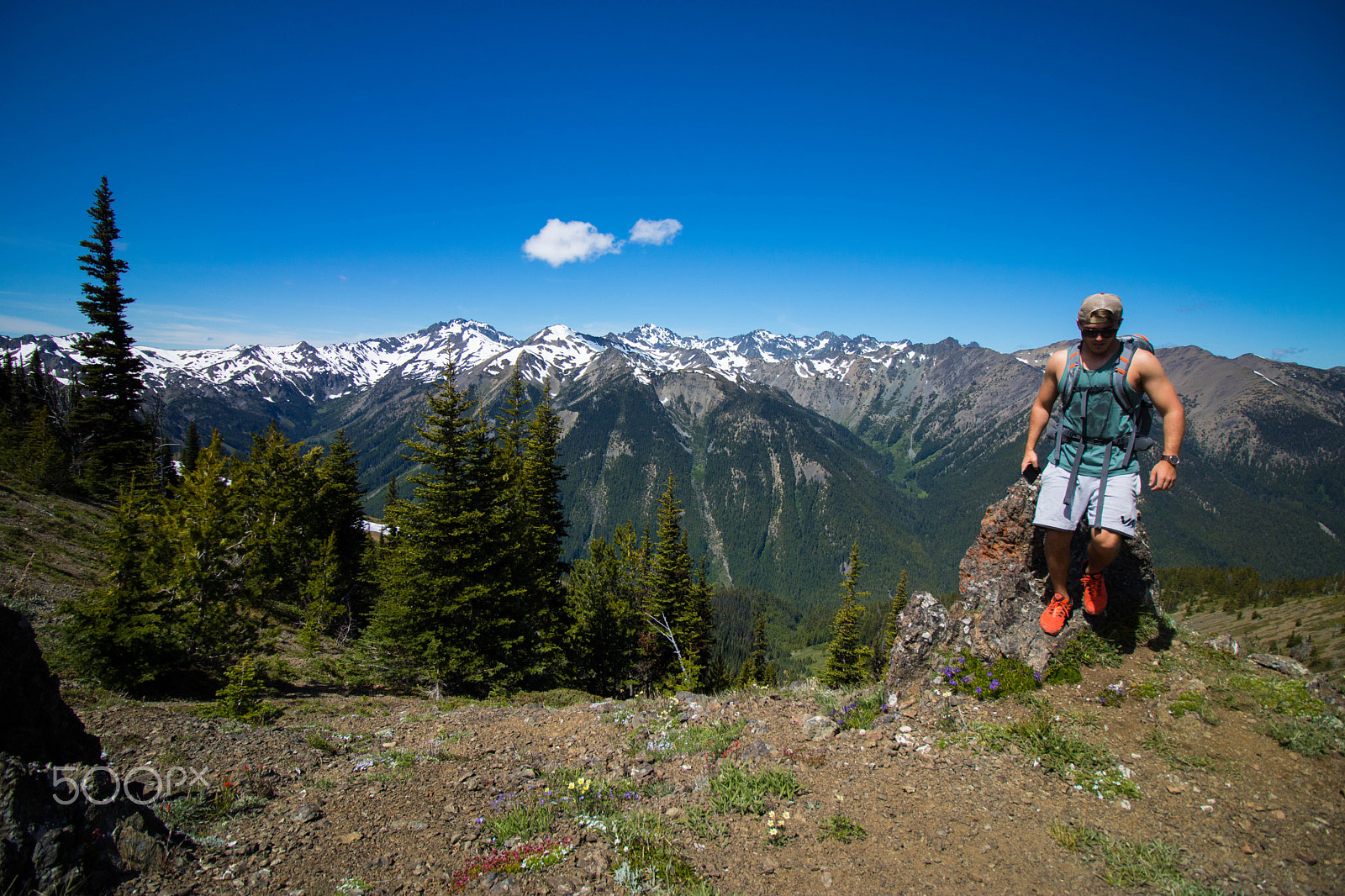 Canon EOS 750D (EOS Rebel T6i / EOS Kiss X8i) sample photo. Marmot pass photography