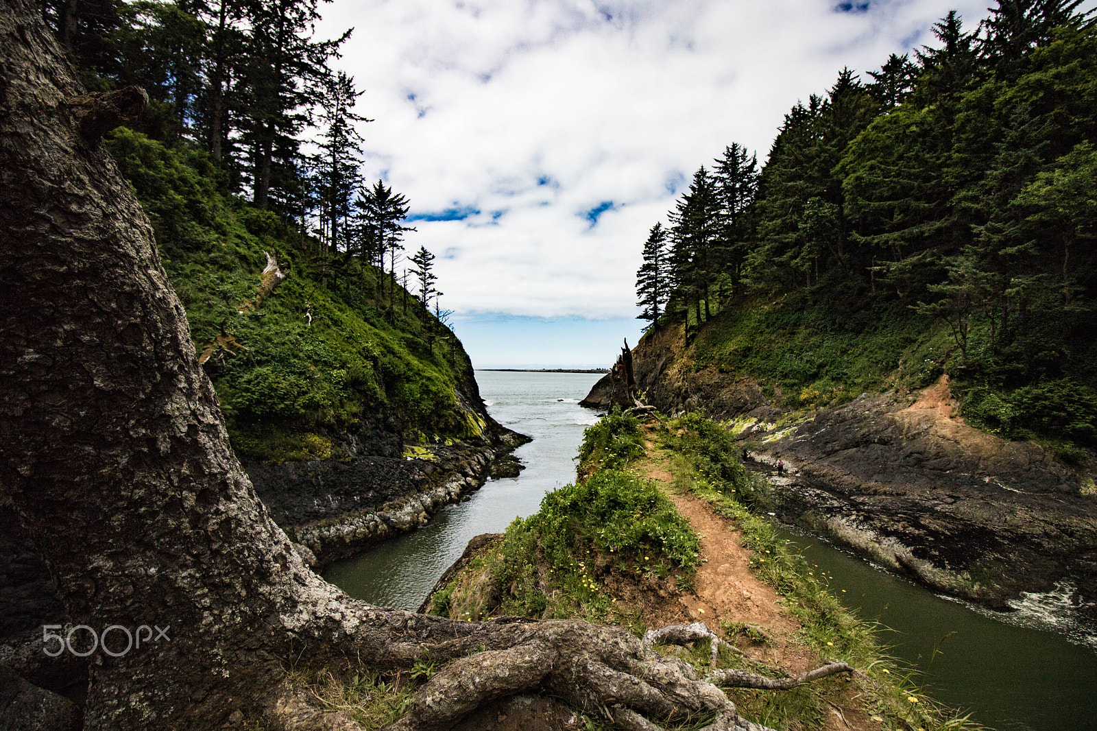 Canon EOS 750D (EOS Rebel T6i / EOS Kiss X8i) sample photo. Trail to nowhere - cape disappointment photography