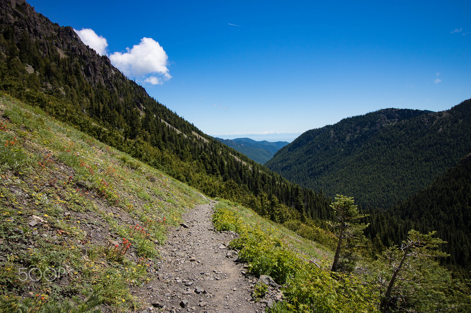Canon EOS 750D (EOS Rebel T6i / EOS Kiss X8i) sample photo. Into the unknown - marmot pass photography