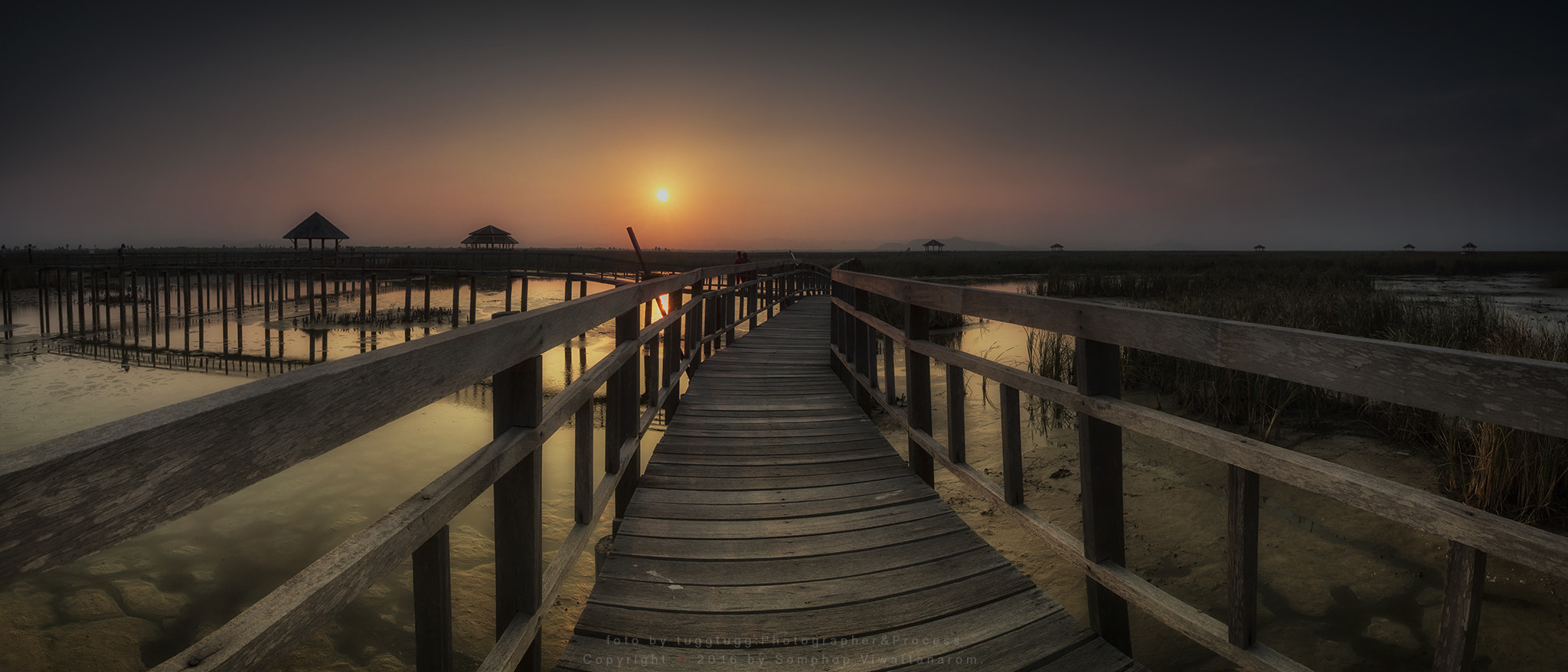 Canon EOS-1D X sample photo. Wood bridge sunset photography