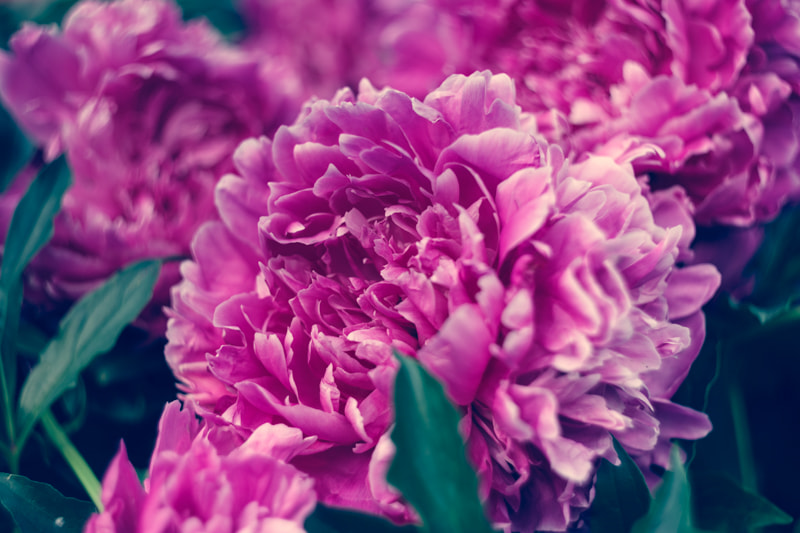 Canon EOS 5D + Canon EF 50mm F1.8 II sample photo. летний снимок photography