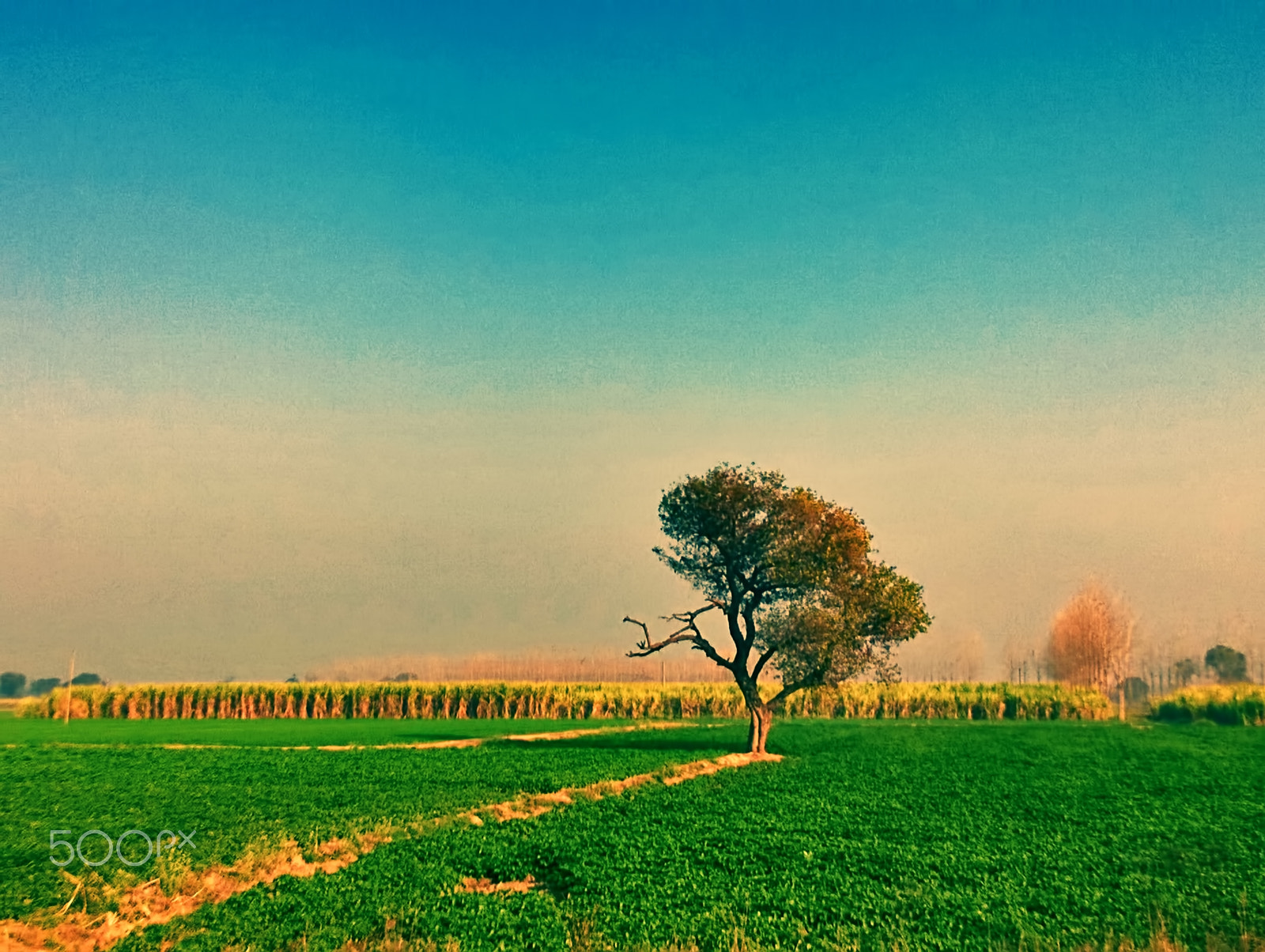 Nokia Lumia 730 Dual SIM sample photo. Landscape photography
