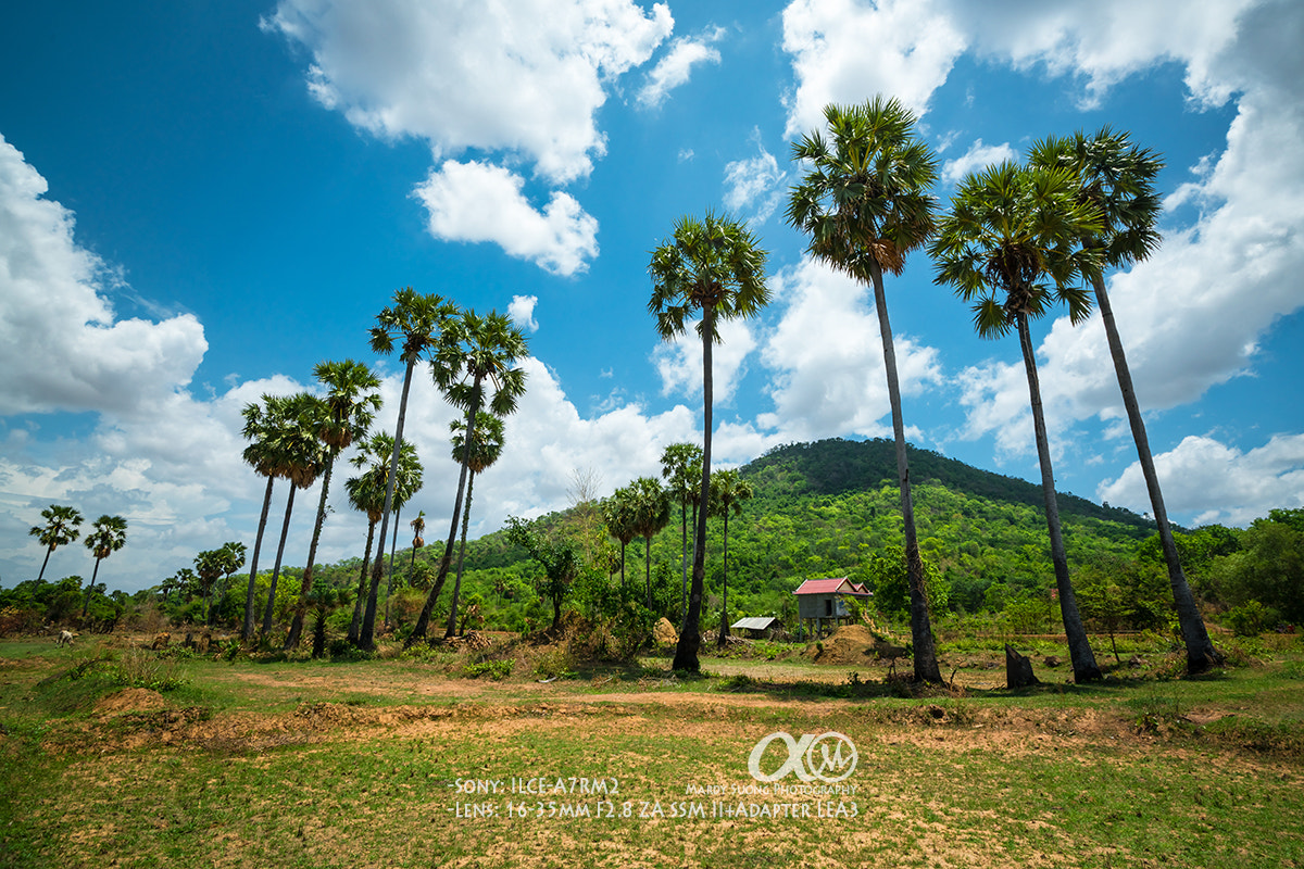 Sony Vario-Sonnar T* 16-35mm F2.8 ZA SSM II sample photo. A place of peaceful ! photography