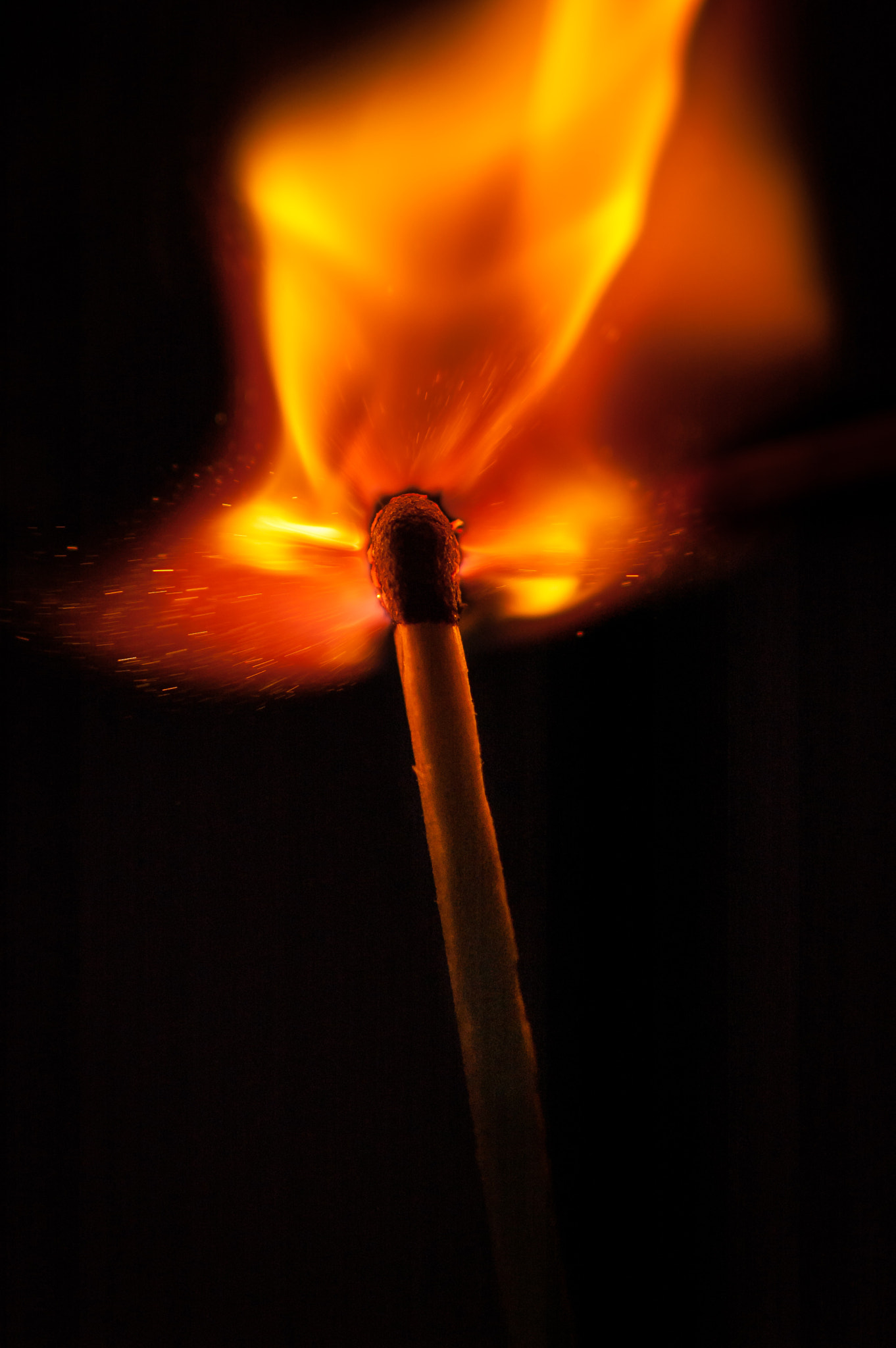 Nikon D70 sample photo. The smaller explosion in the world photography