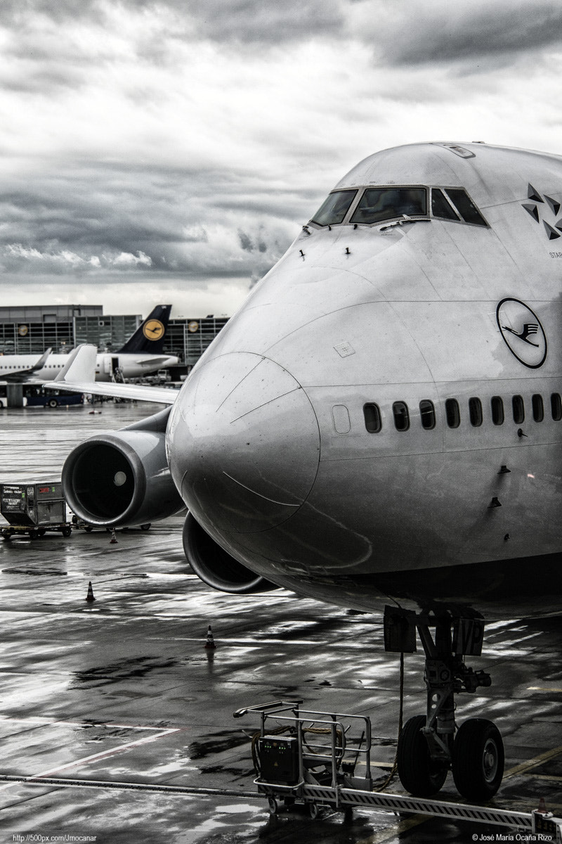 Nikon 1 J5 sample photo. Boeing 747 lh photography