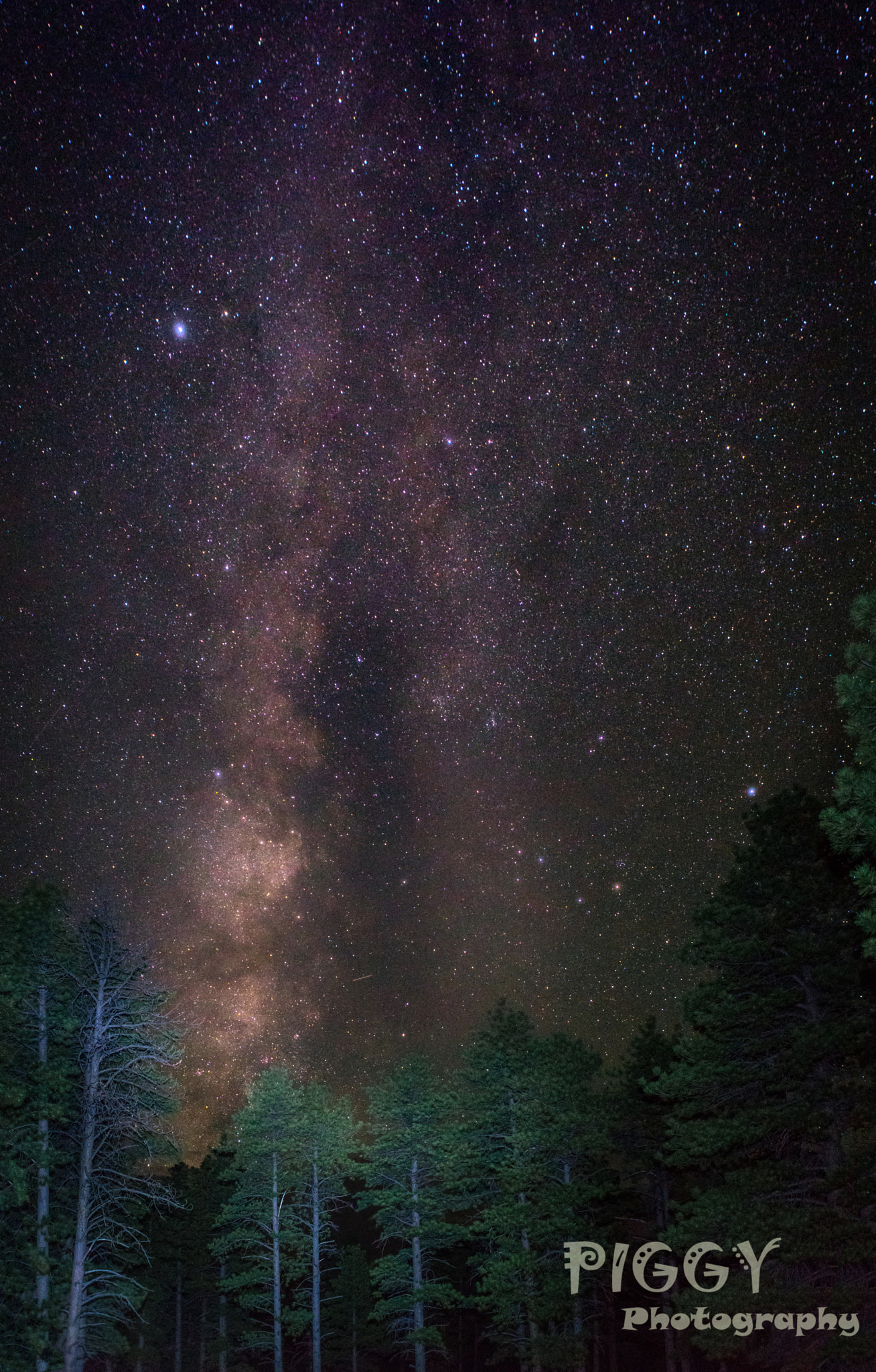 Sony a7R II + Canon EF 24-70mm F2.8L USM sample photo. Milky way waterfall photography