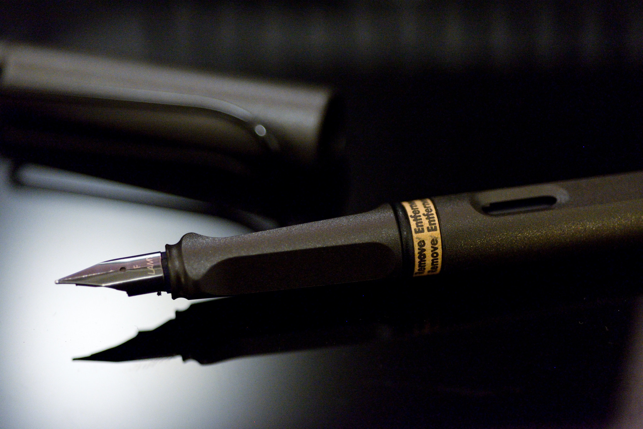 Nikon D610 + Nikon AF Micro-Nikkor 60mm F2.8D sample photo. Lamy safari photography