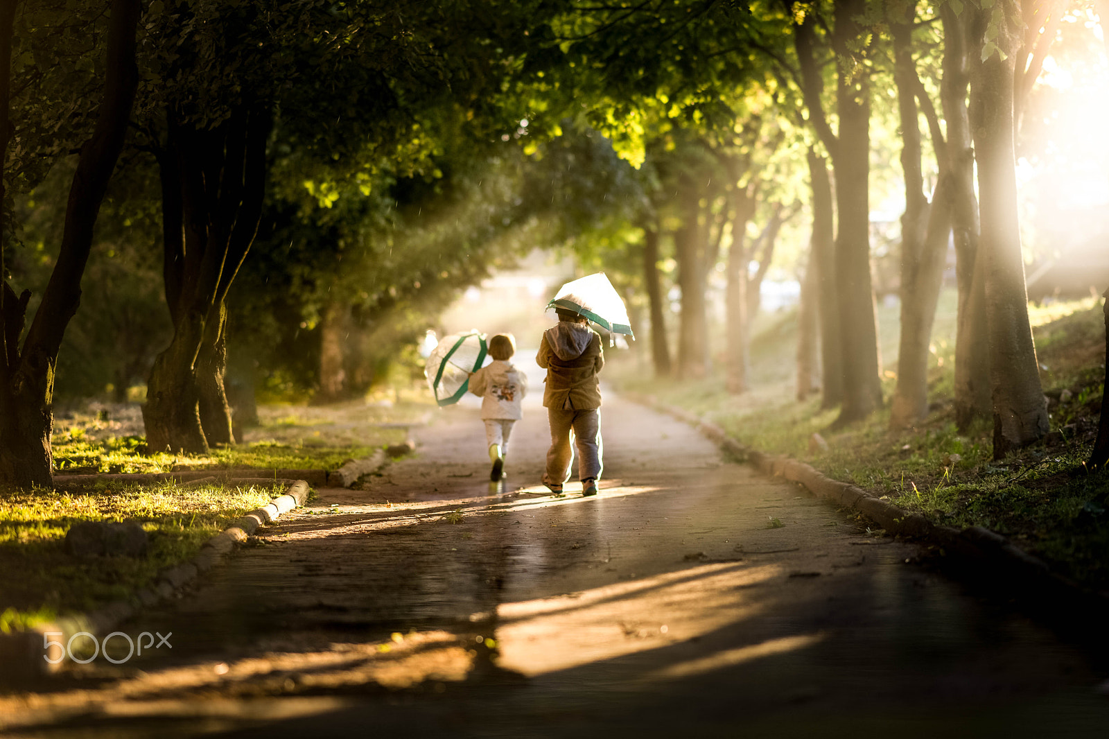 Sony Sonnar T* 135mm F1.8 ZA sample photo. After the storm photography