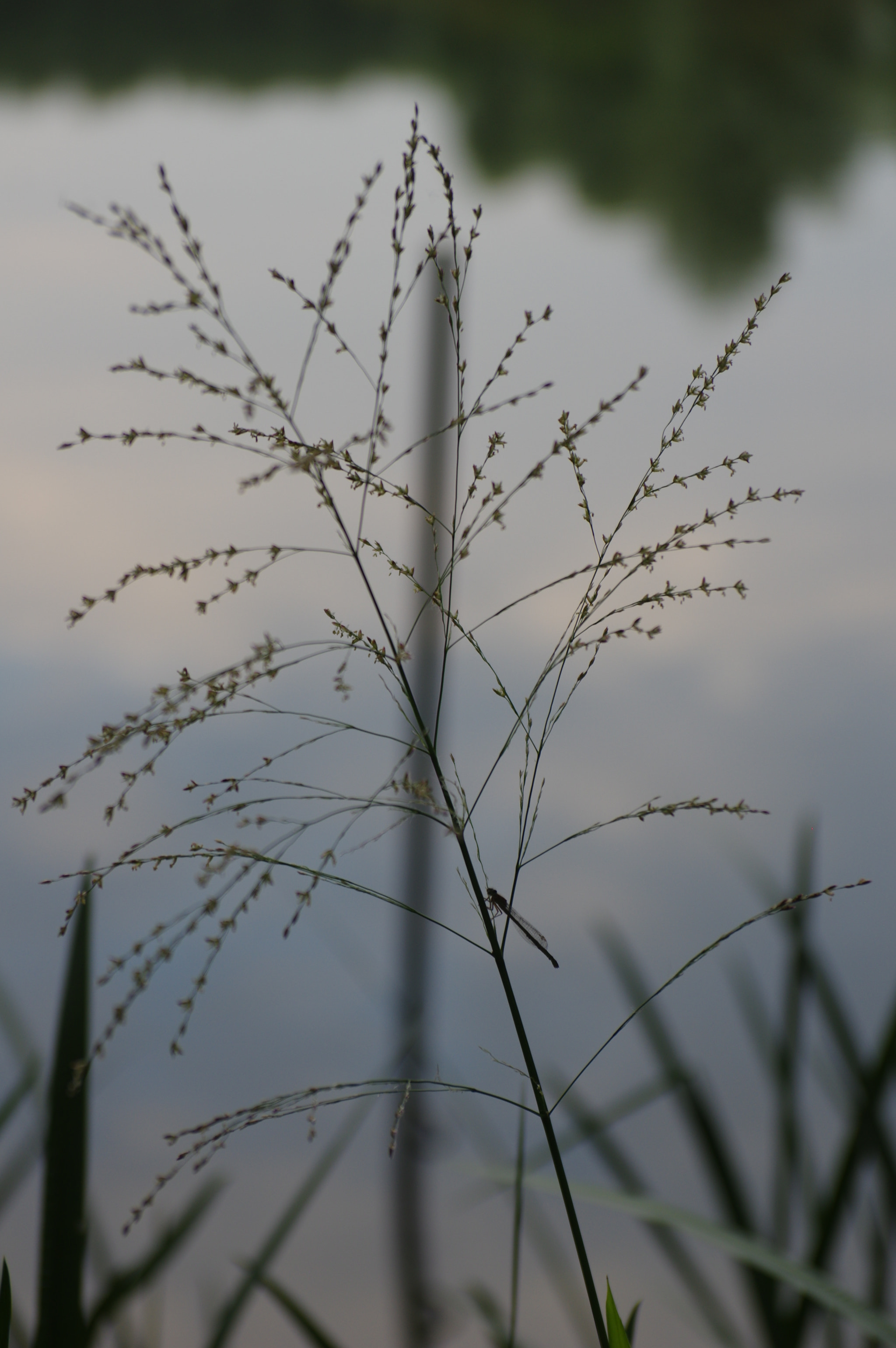 Pentax smc DA 17-70mm F4.0 AL (IF) SDM sample photo. Evening photography